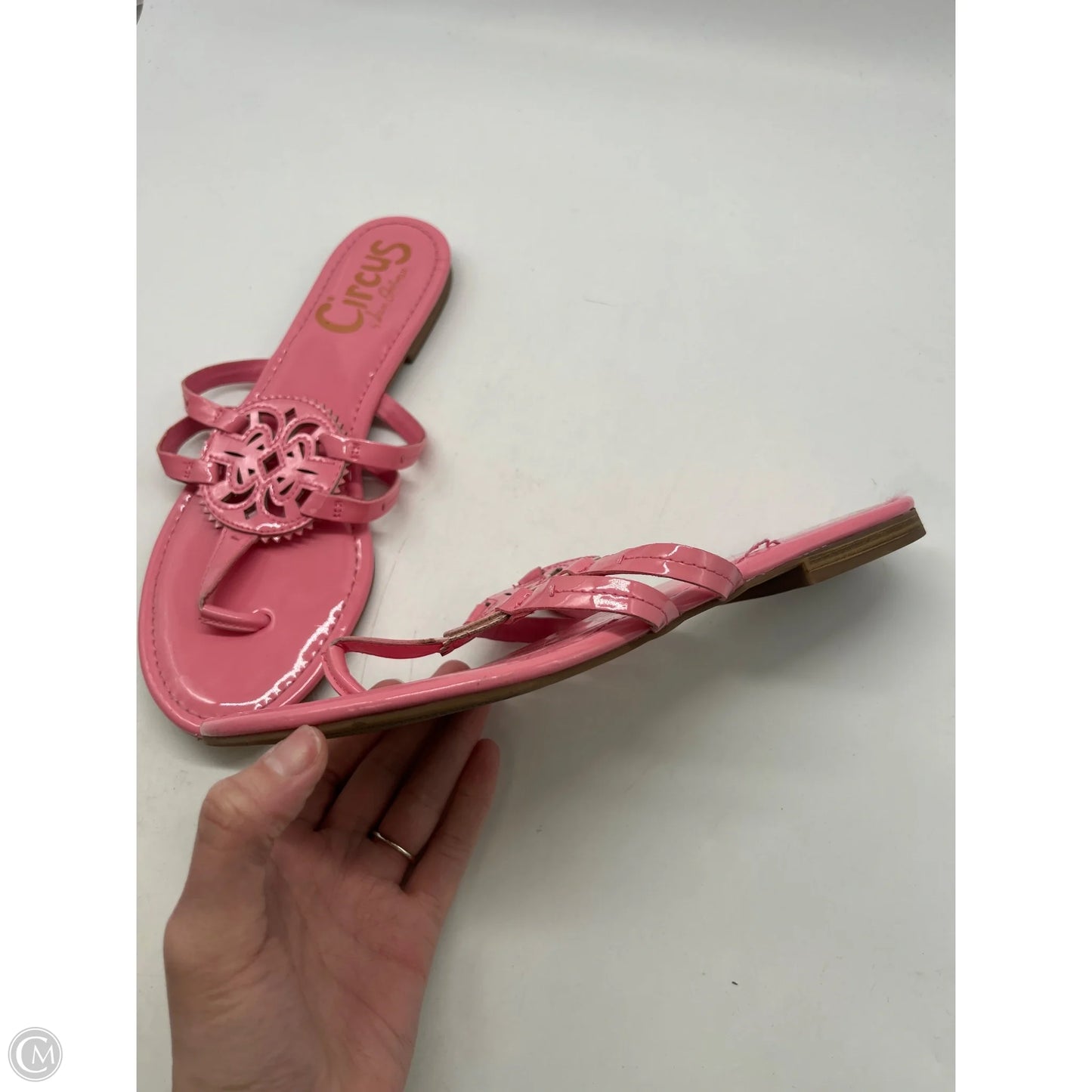 Sandals Flats By Circus By Sam Edelman In Pink, Size: 10