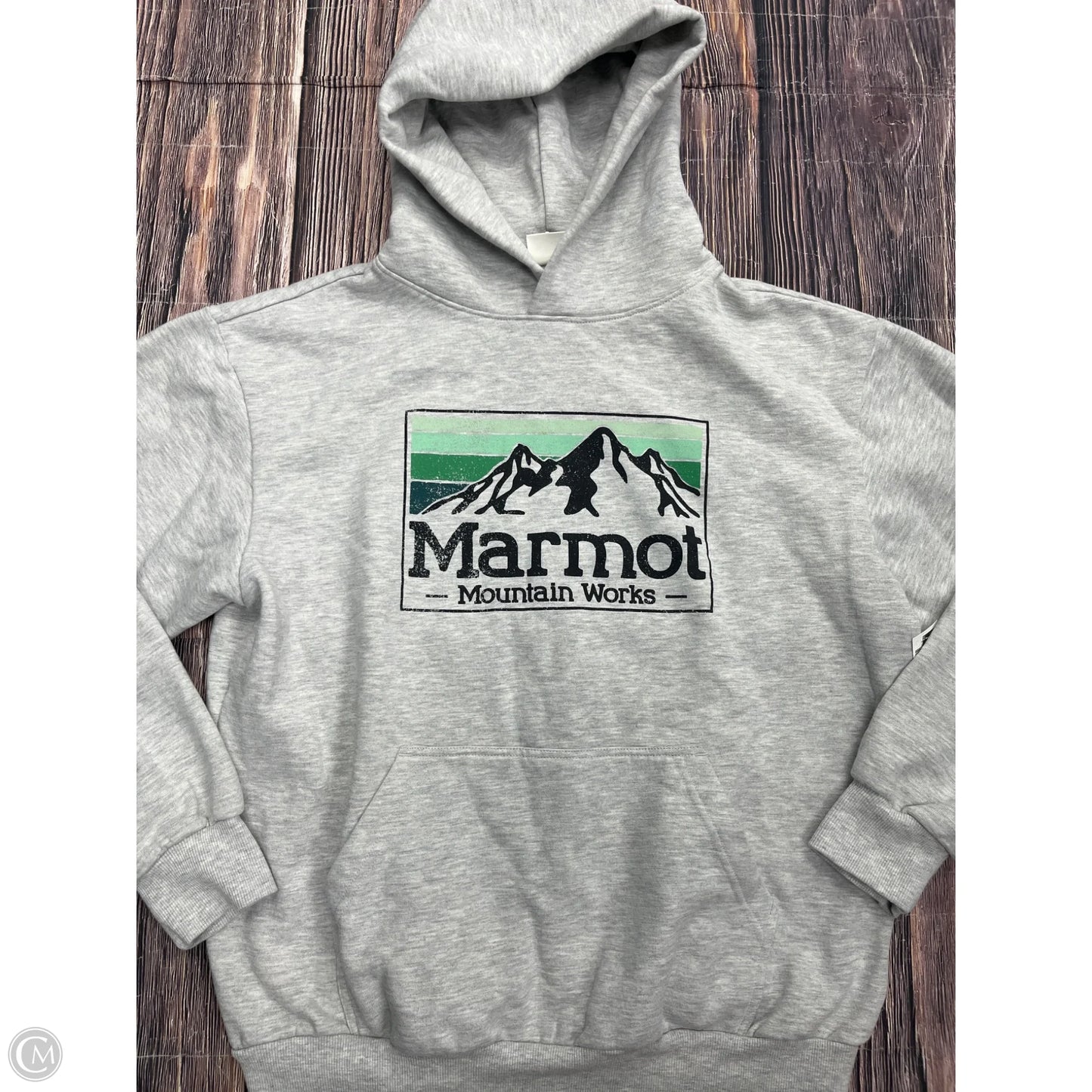 Sweatshirt Hoodie By Marmot In Grey, Size: M