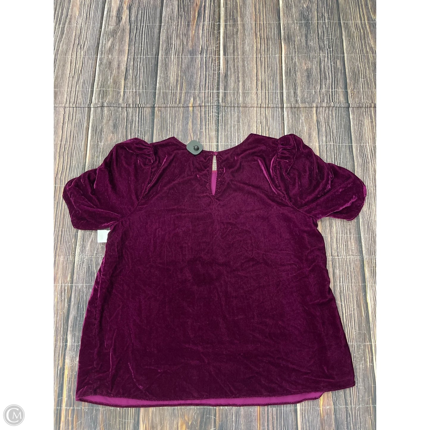 Top Short Sleeve By Torrid In Purple, Size: 2x