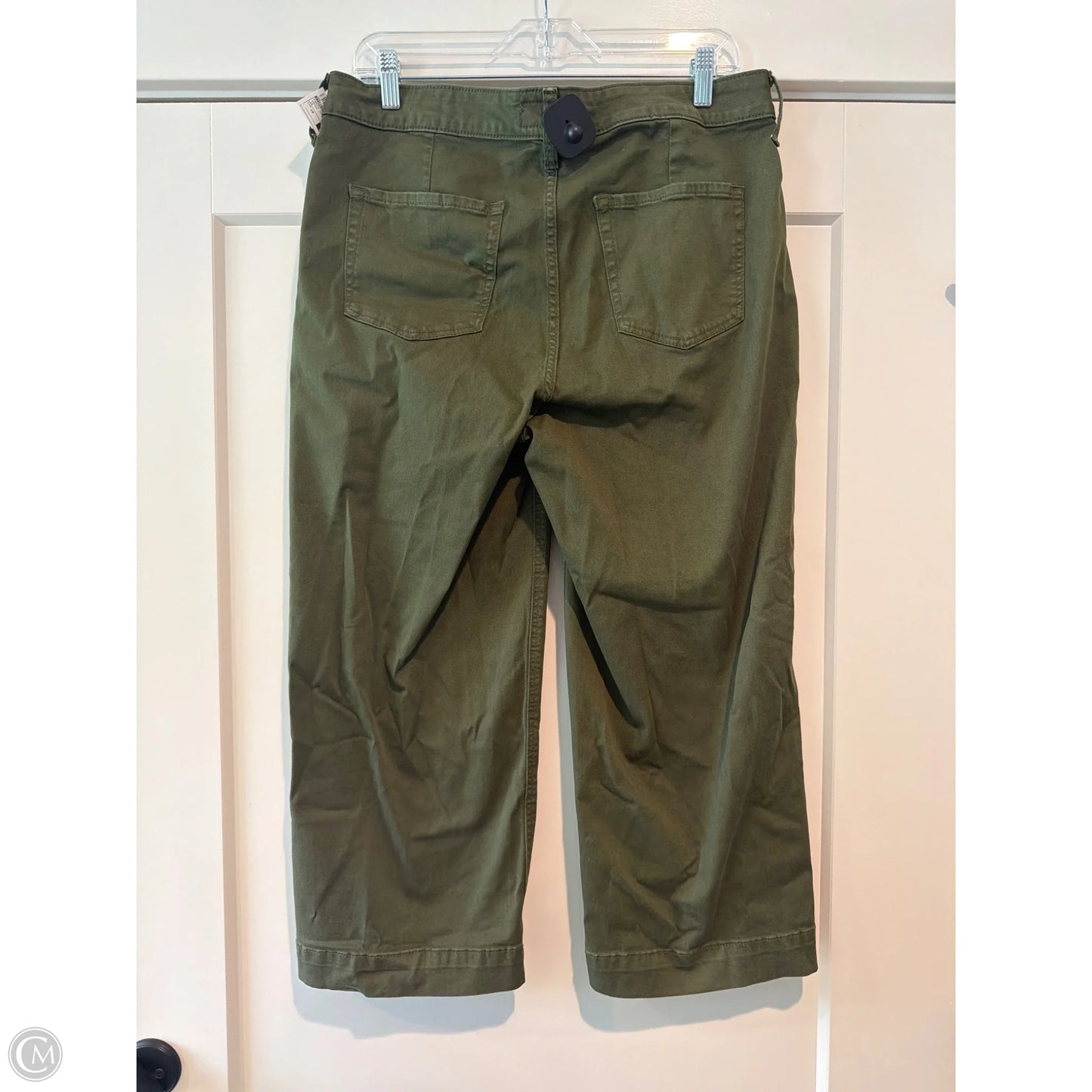 Pants Cargo & Utility By Torrid In Green, Size: 10