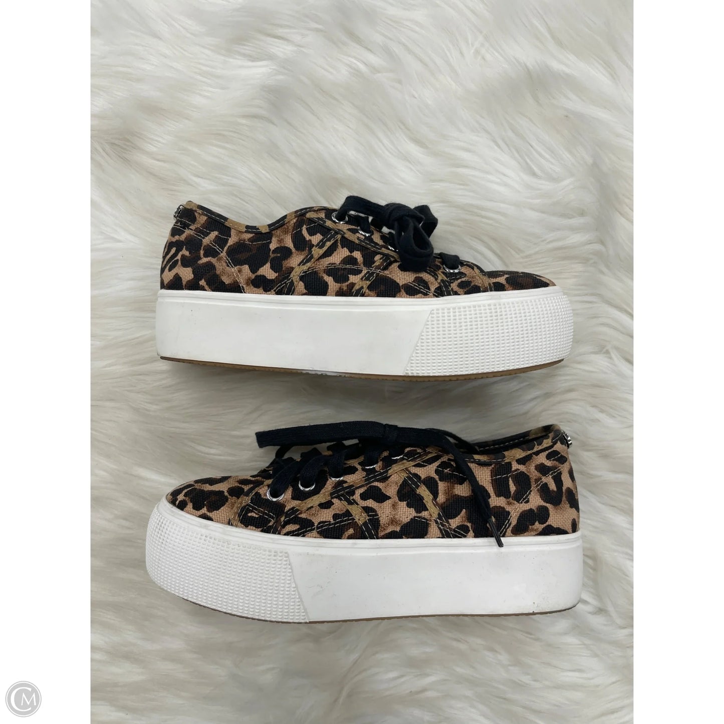 Shoes Sneakers By Steve Madden In Animal Print, Size: 6.5