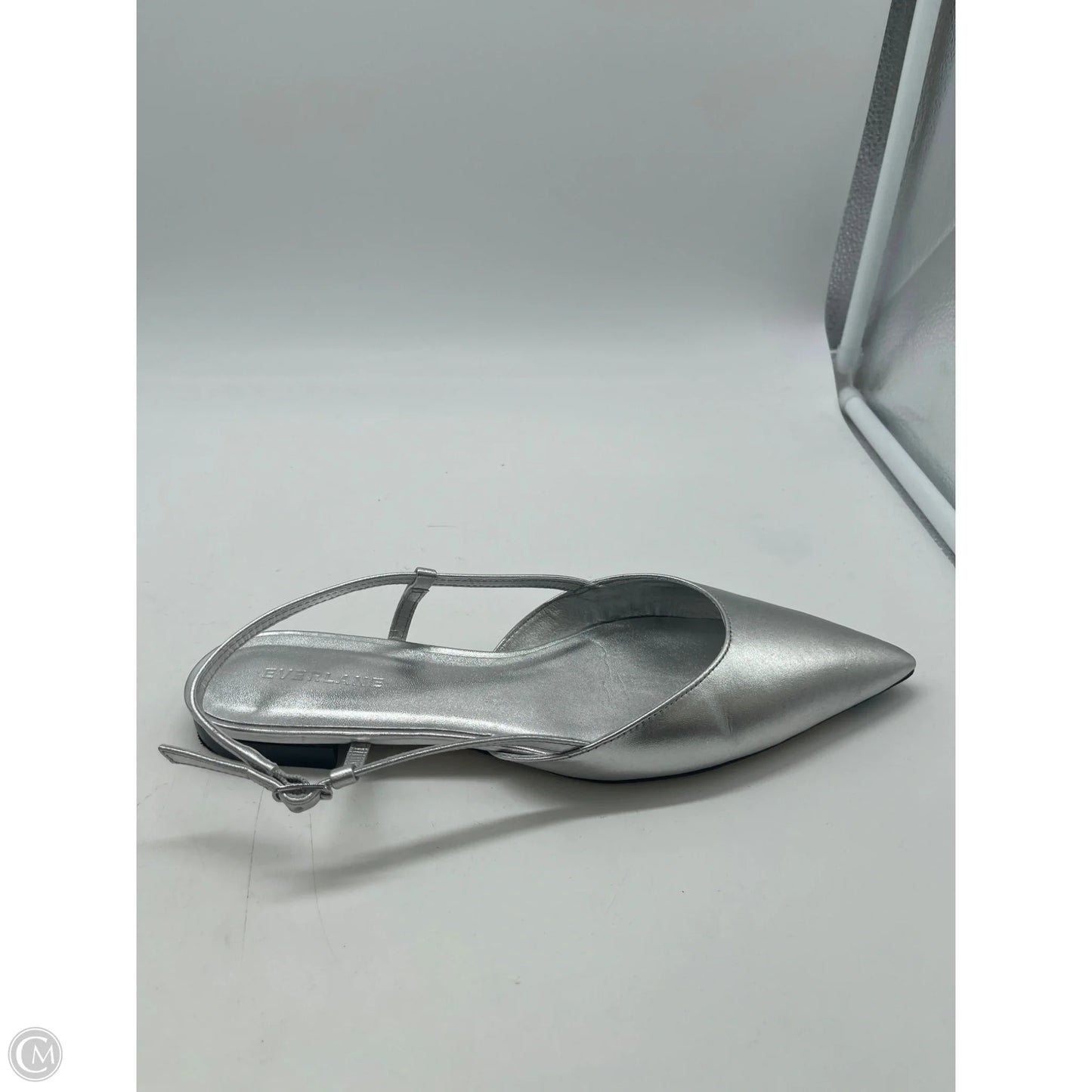 Shoes Flats By Everlane In Silver, Size: 8.5