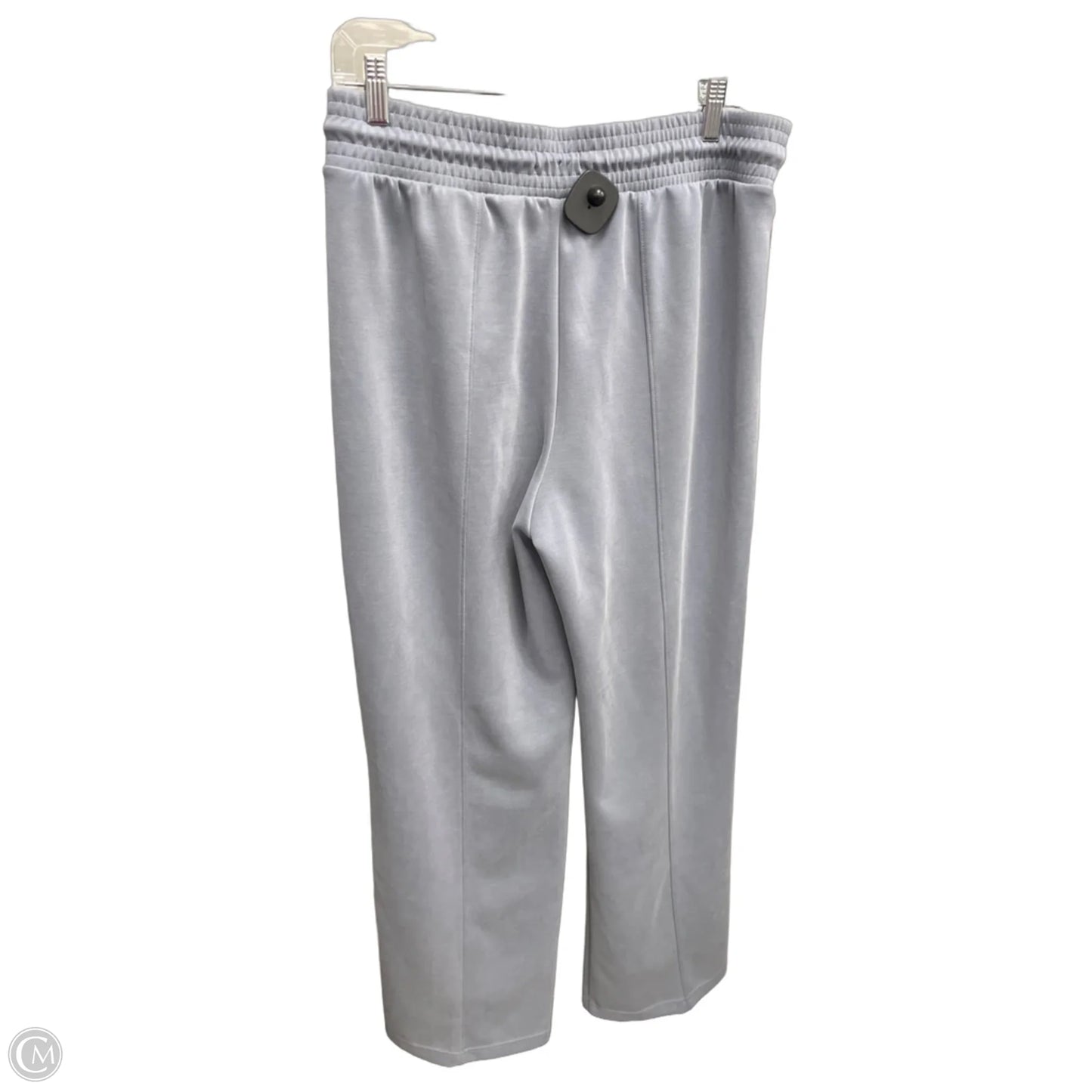 Athletic Pants By Flx In Blue, Size: L