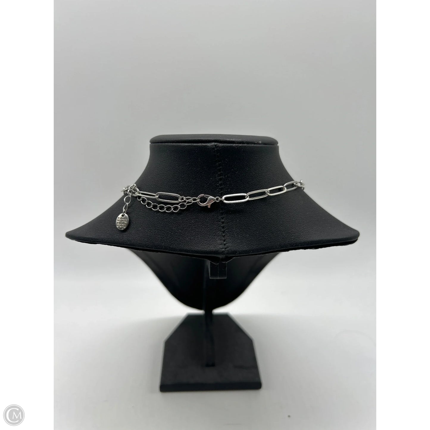 Necklace Chain By Clothes Mentor
