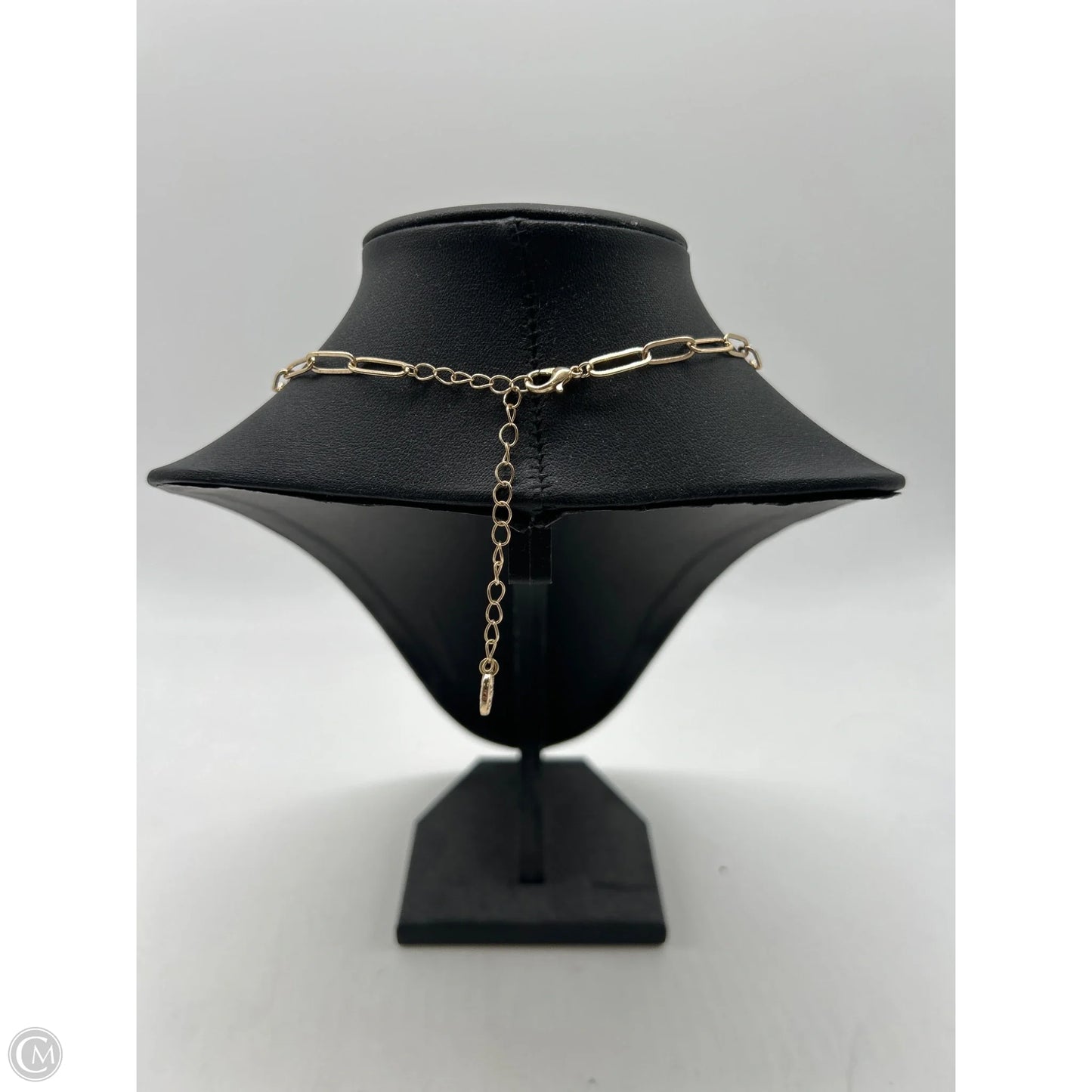 Necklace Chain By Clothes Mentor
