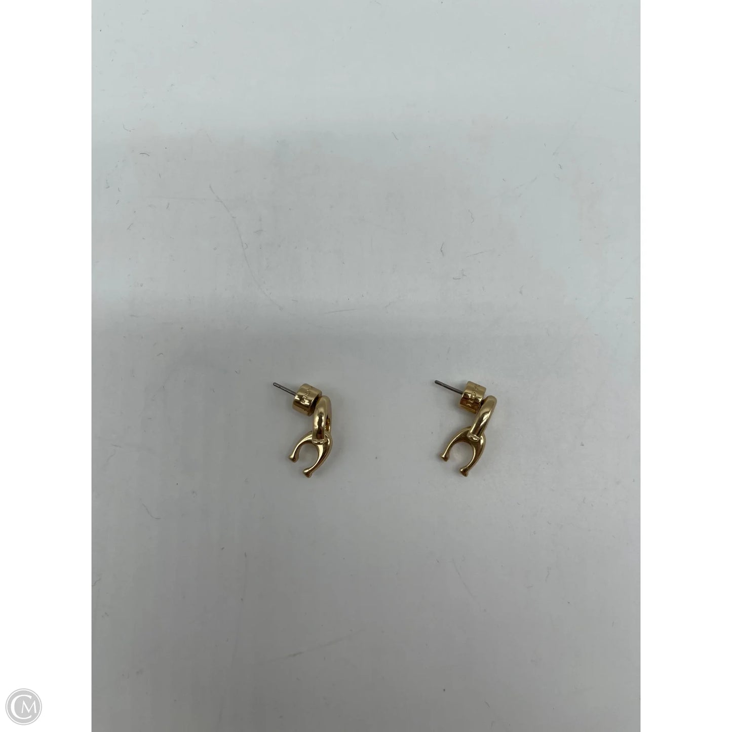 Earrings Designer By Coach