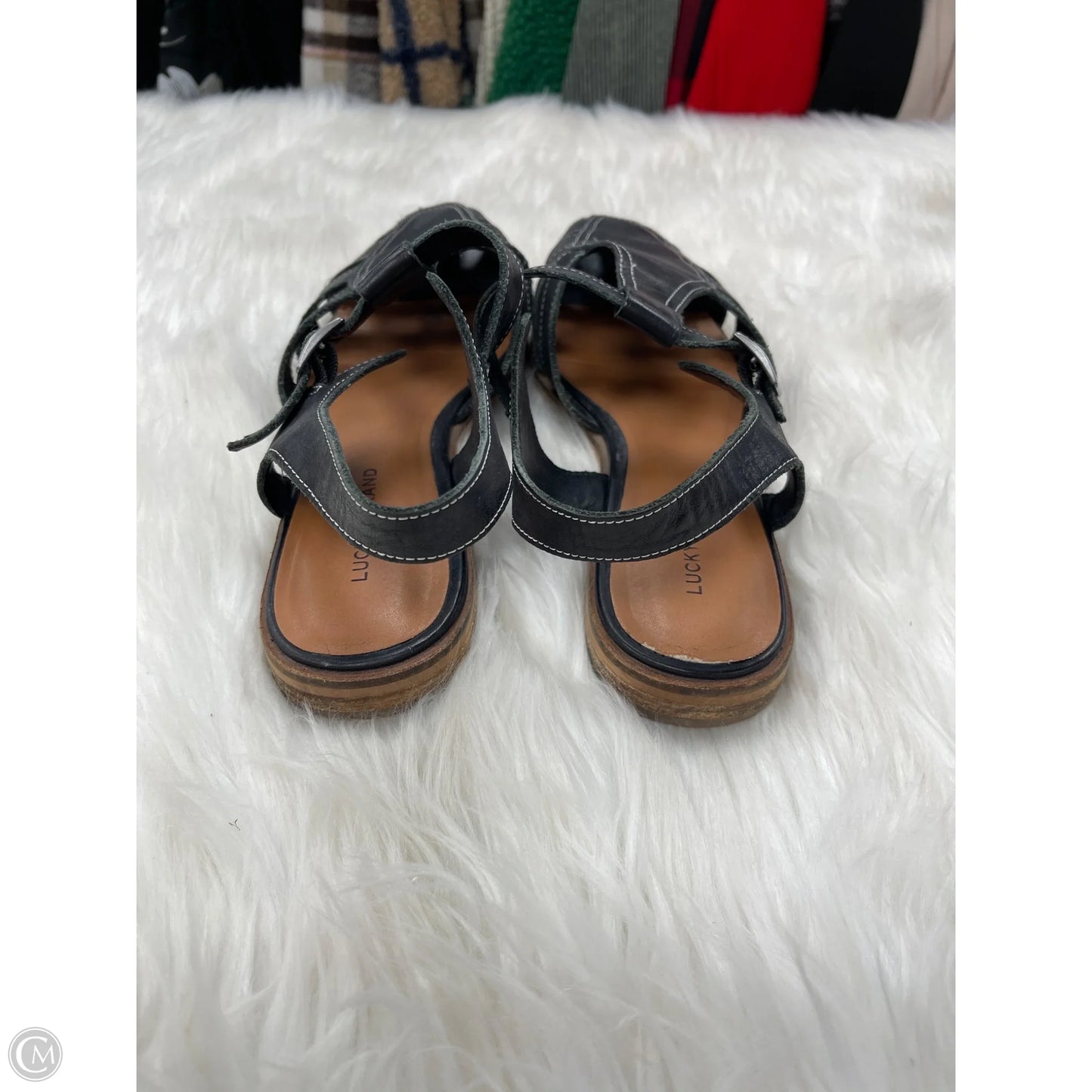 Sandals Flats By Lucky Brand In Black, Size: 9