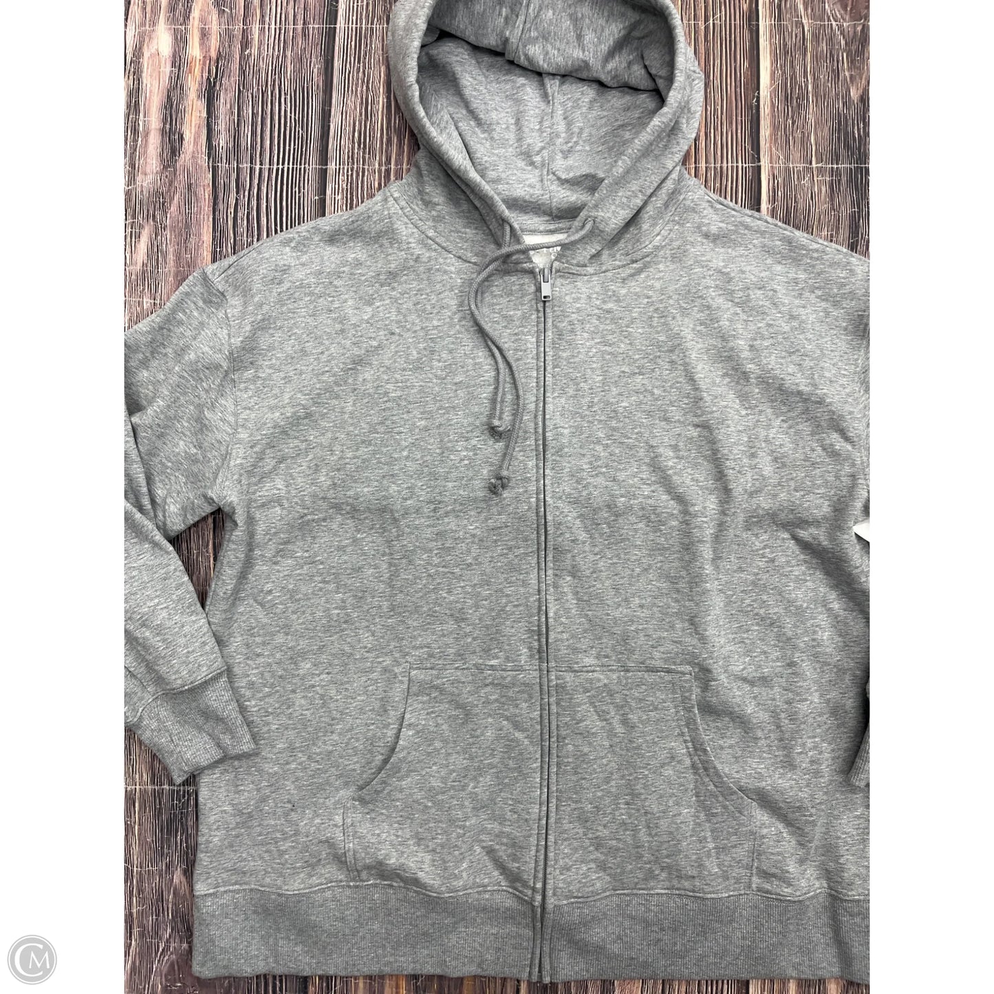 Sweatshirt Hoodie By Terra & Sky In Grey, Size: 1x