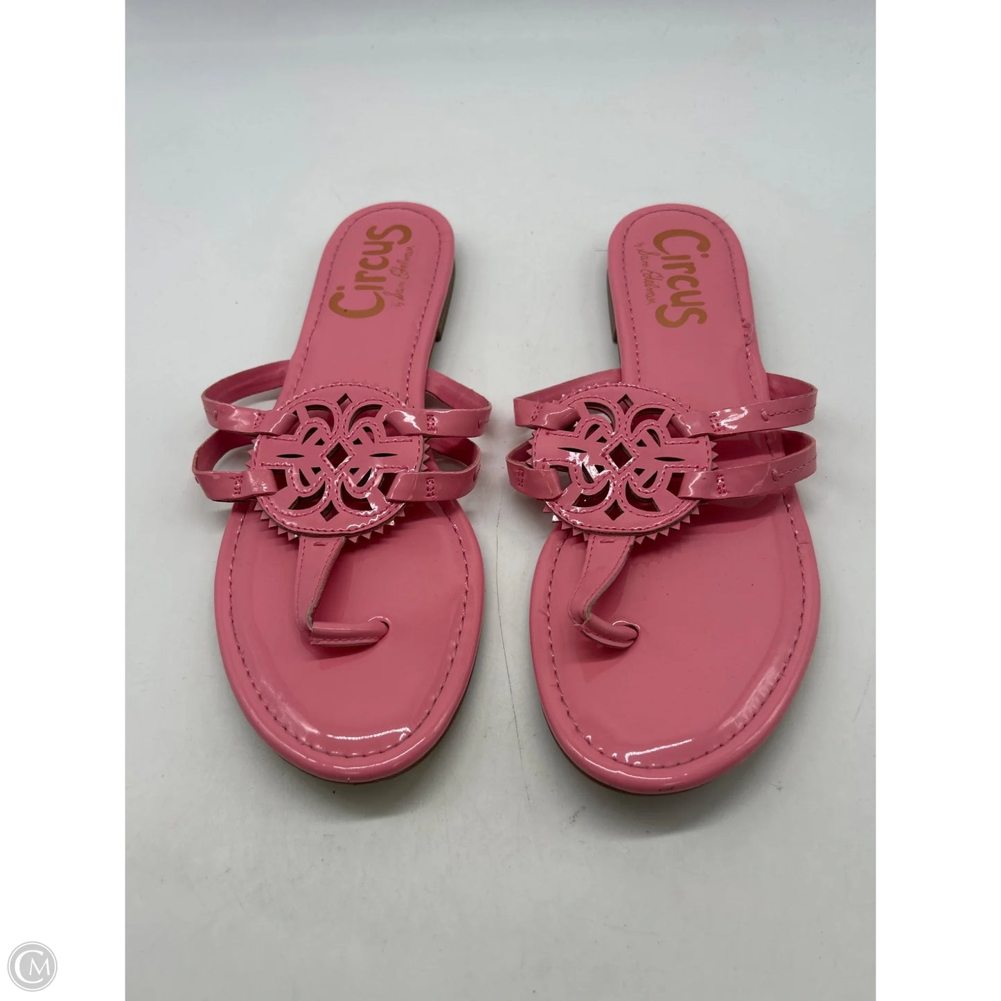 Sandals Flats By Circus By Sam Edelman In Pink, Size: 10