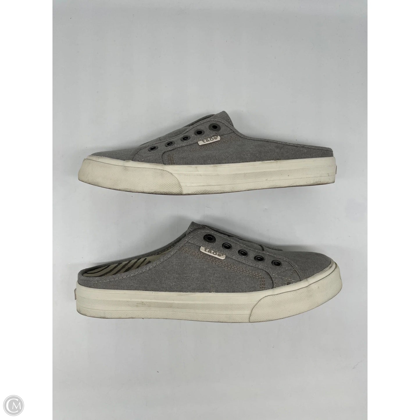 Shoes Athletic By Taos In Grey, Size: 9