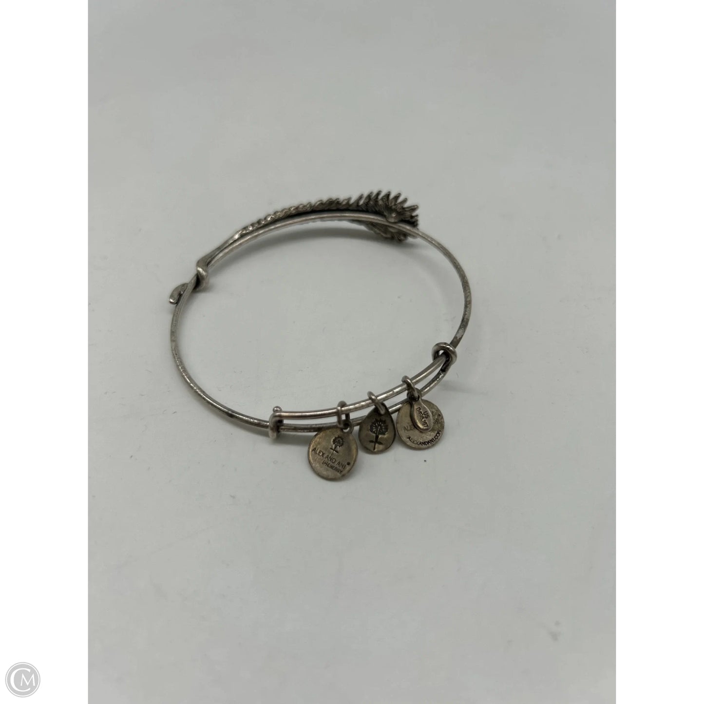 Bracelet Bangle By Alex And Ani