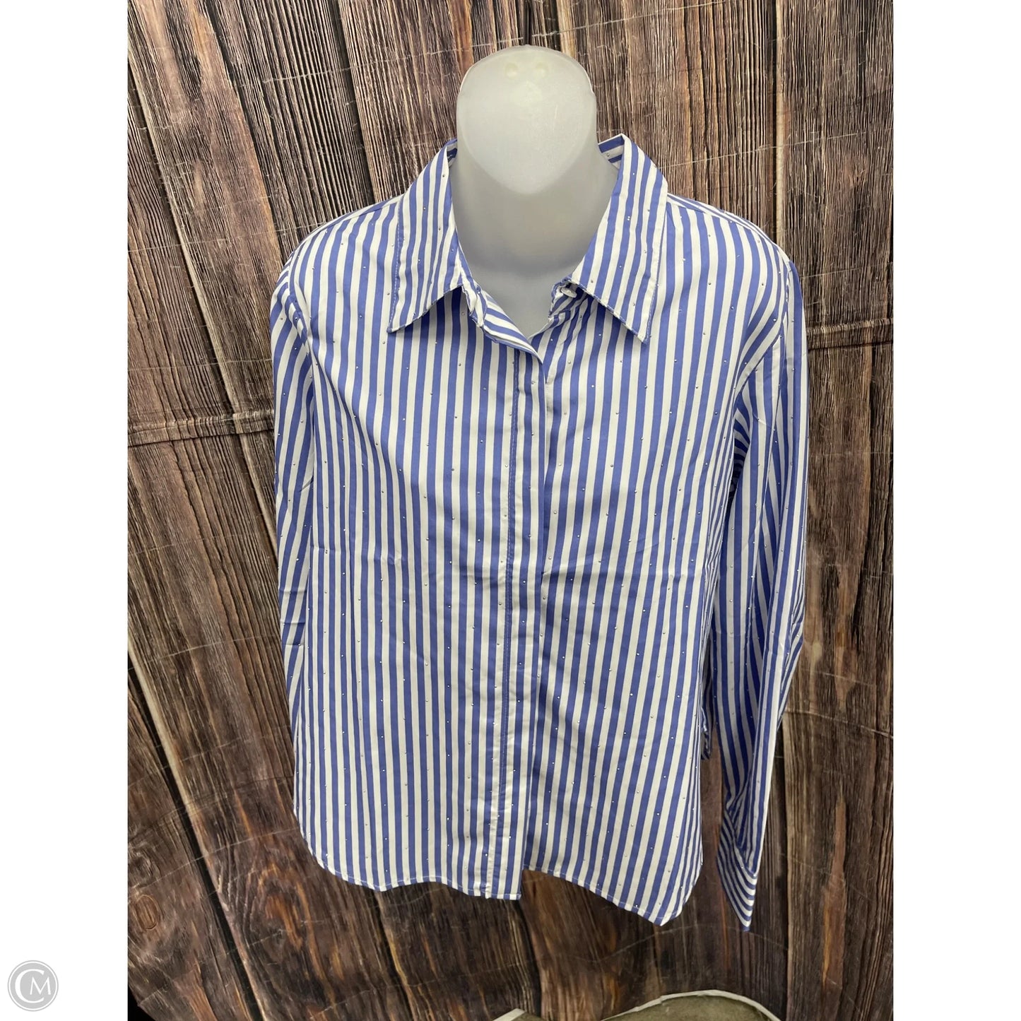 Top Long Sleeve By Clothes Mentor In Blue, Size: L