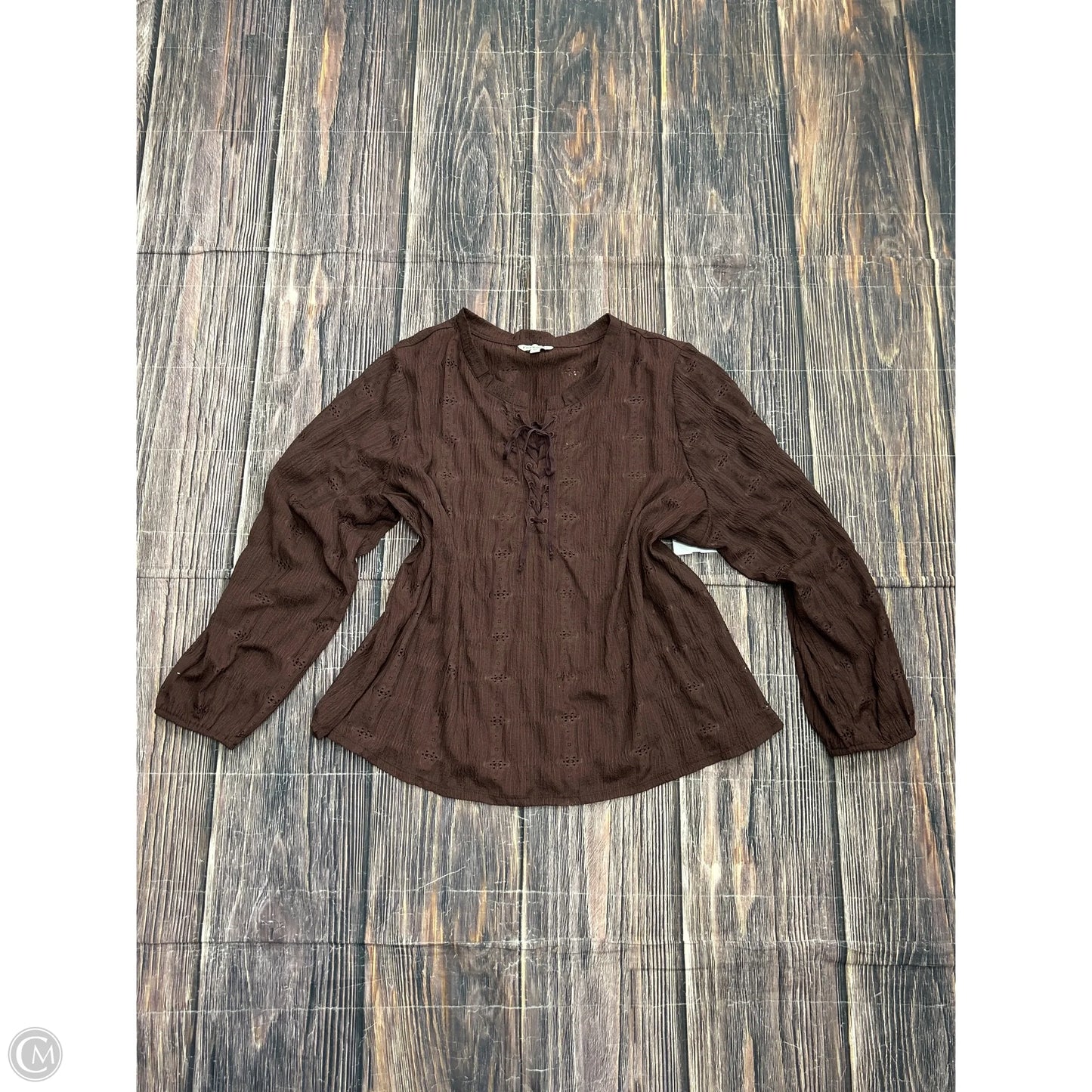 Top Long Sleeve By Frye And Co In Brown, Size: 3x
