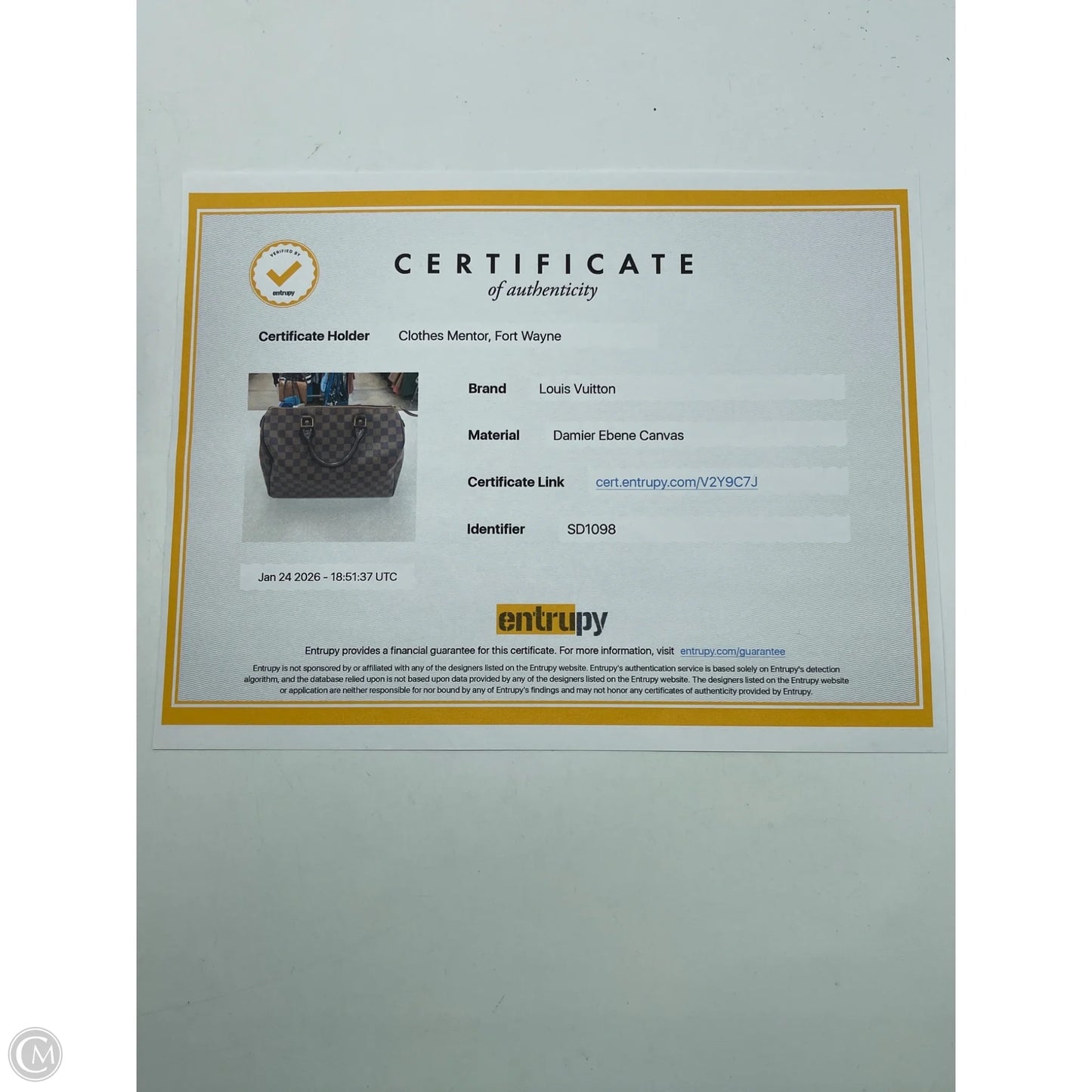 Handbag Luxury Designer By Louis Vuitton, Size: Medium