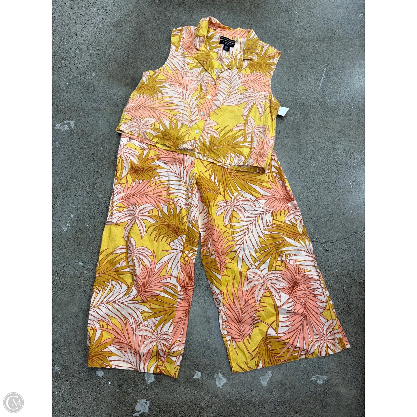 Pants Set 2pc By Tahari In Yellow, Size: Xl