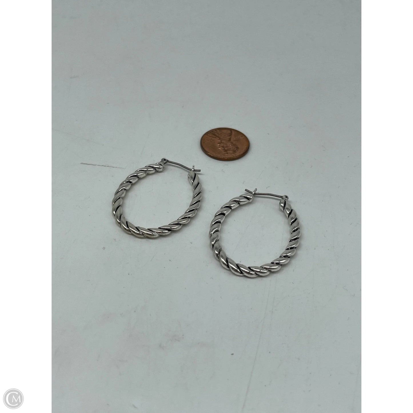 Earrings Hoop By Clothes Mentor