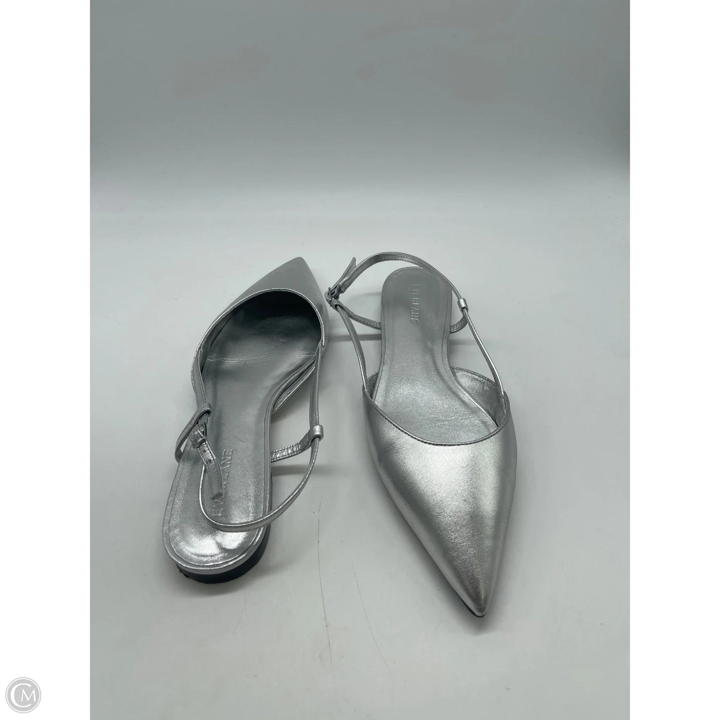 Shoes Flats By Everlane In Silver, Size: 8.5