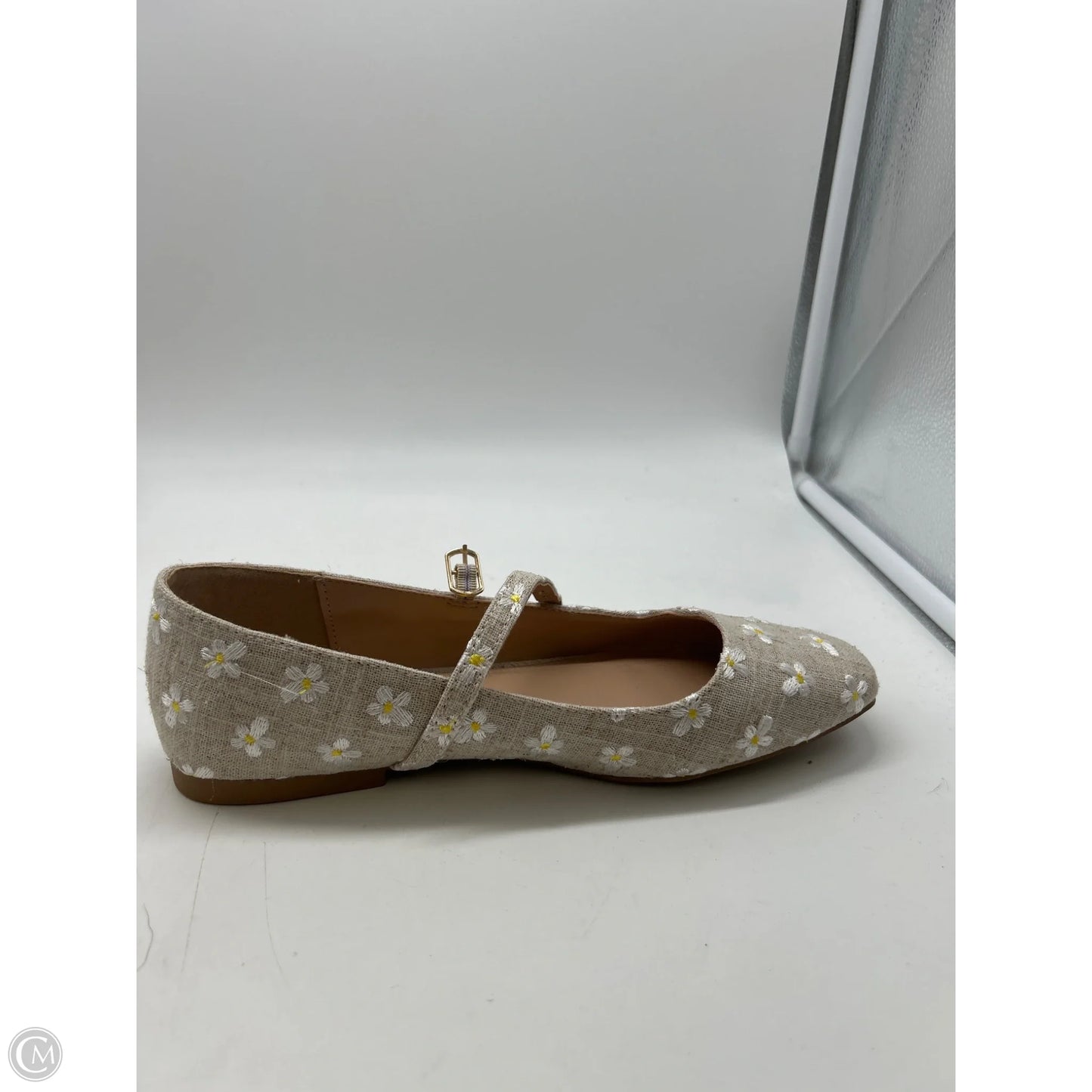 Shoes Flats By Steve Madden In Tan, Size: 9