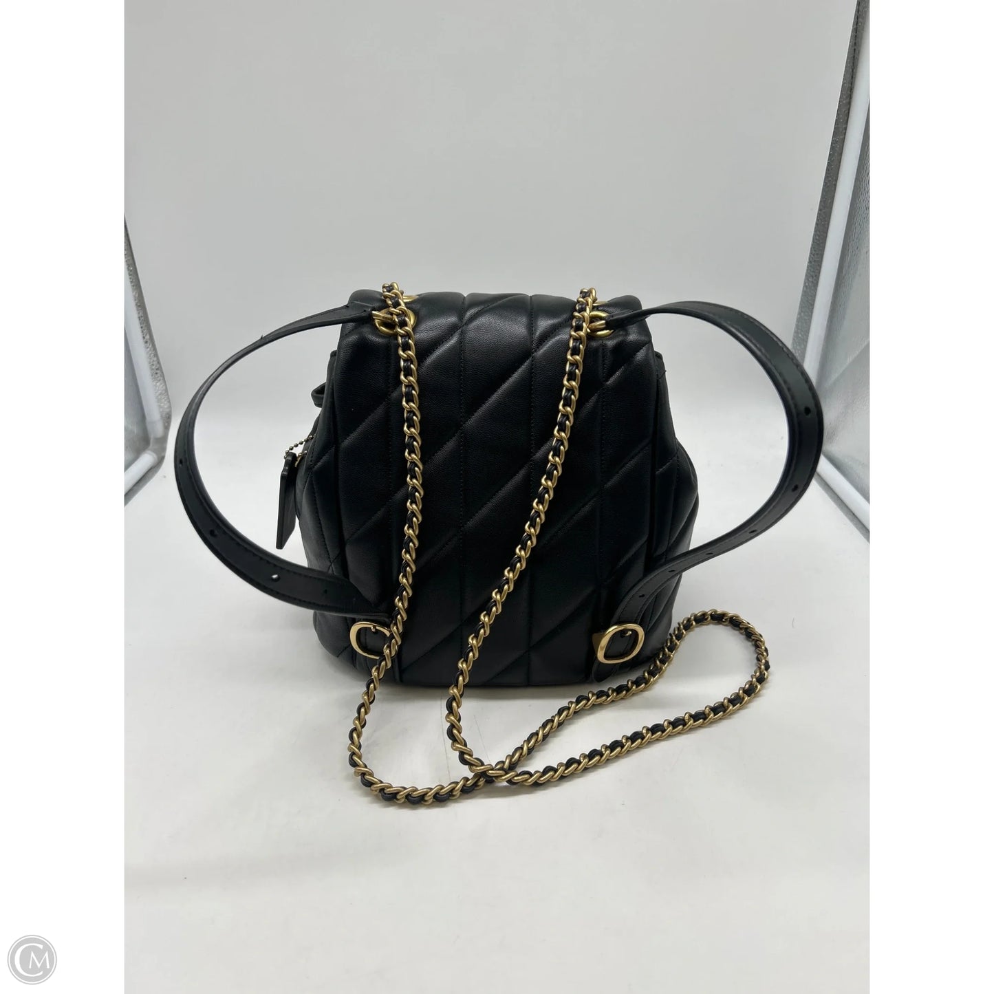 Backpack Designer By Coach, Size: Small