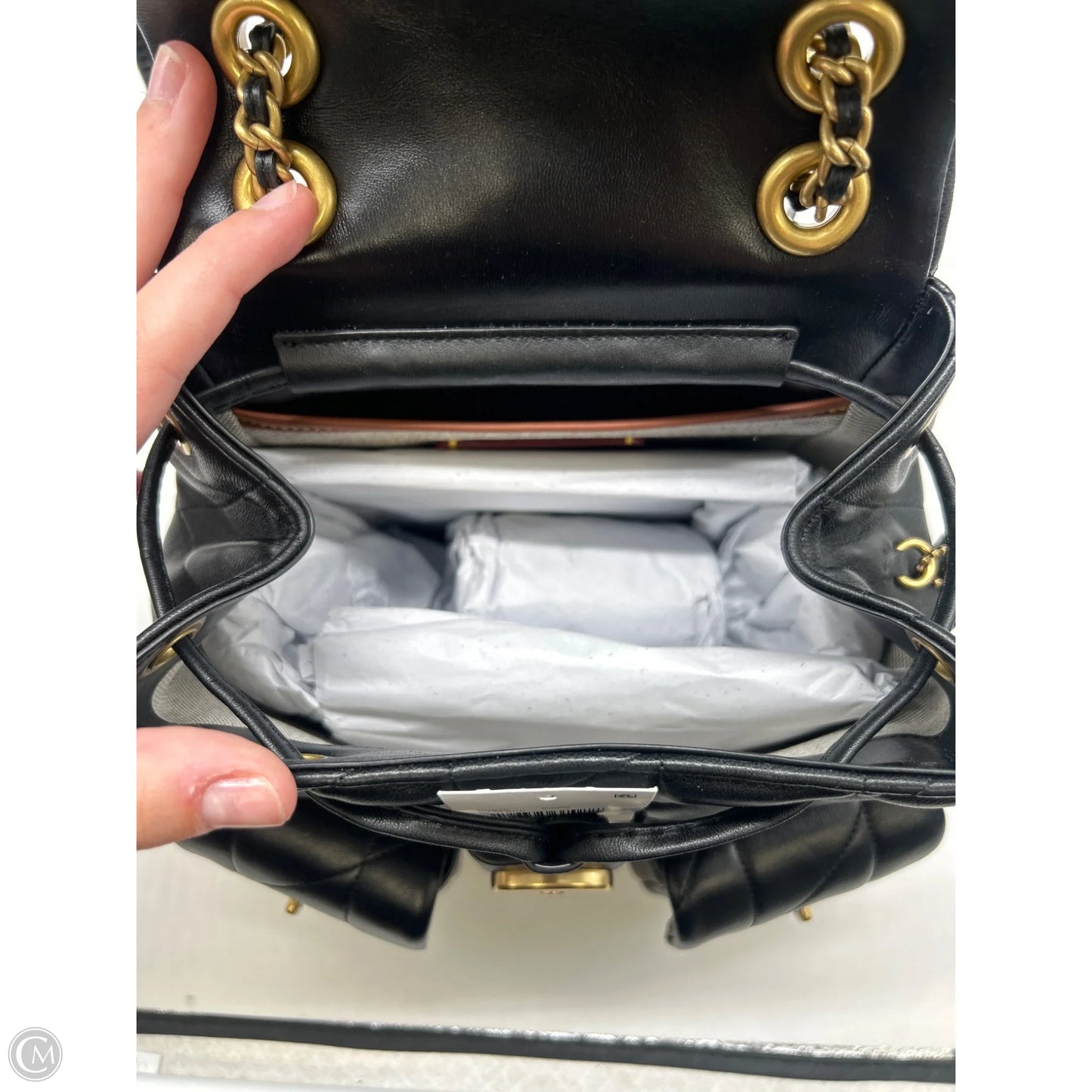 Backpack Designer By Coach, Size: Small
