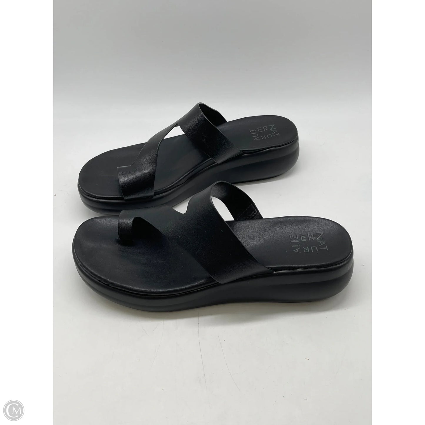Sandals Flats By Naturalizer In Black, Size: 10