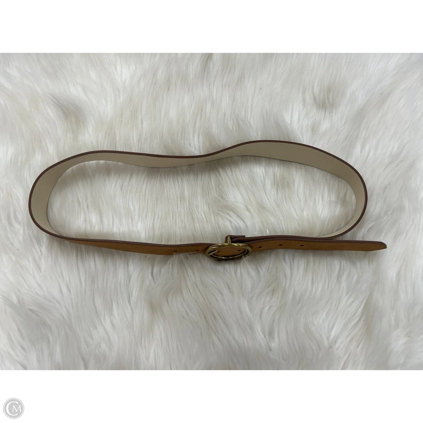 Belt By Target, Size: Medium