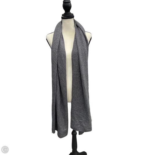 Scarf Winter By Ann Taylor In Silver