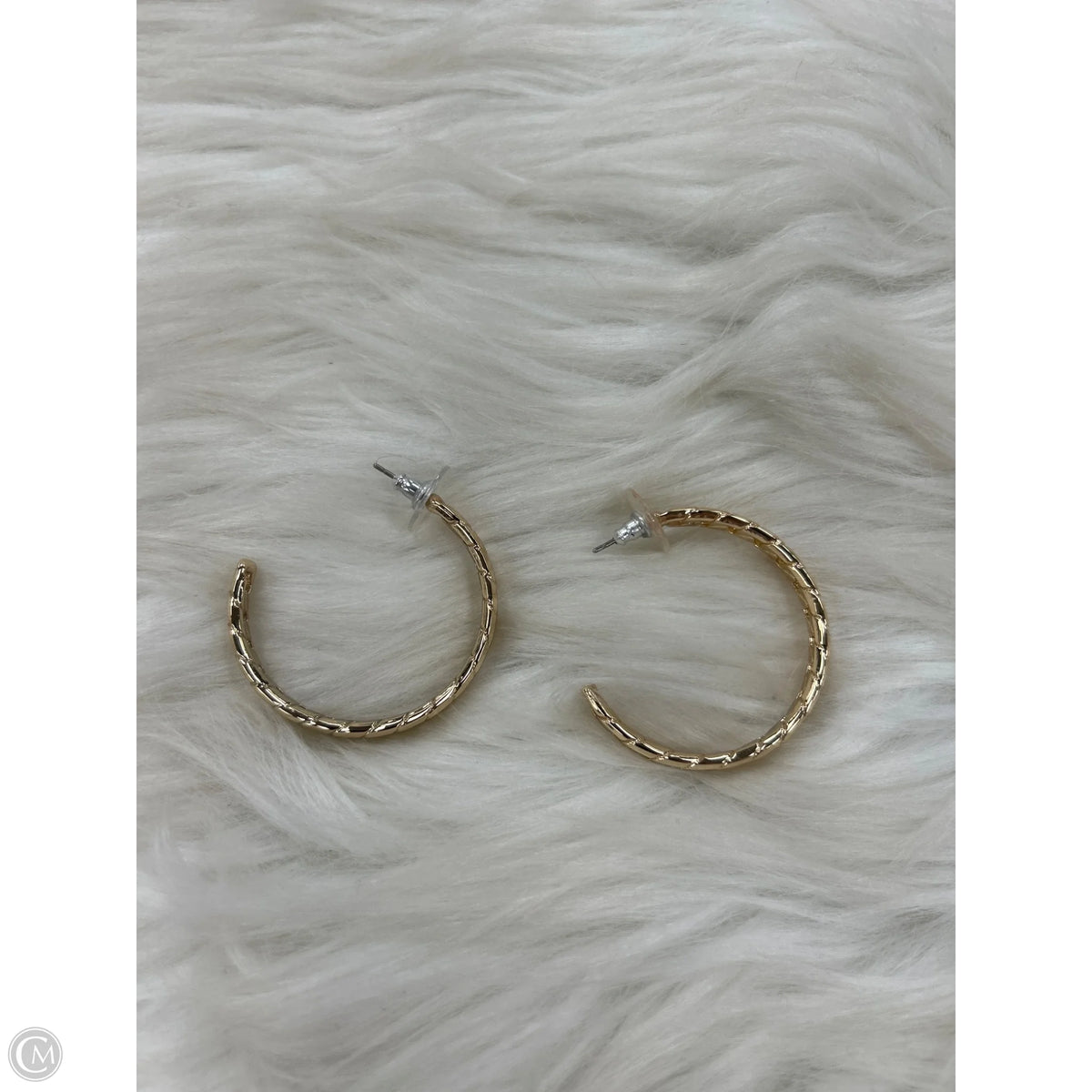 Earrings Hoop By Cabi