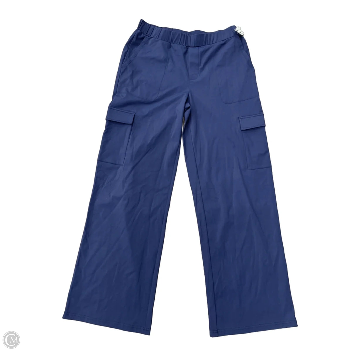 Athletic Pants By Zyia In Blue, Size: M