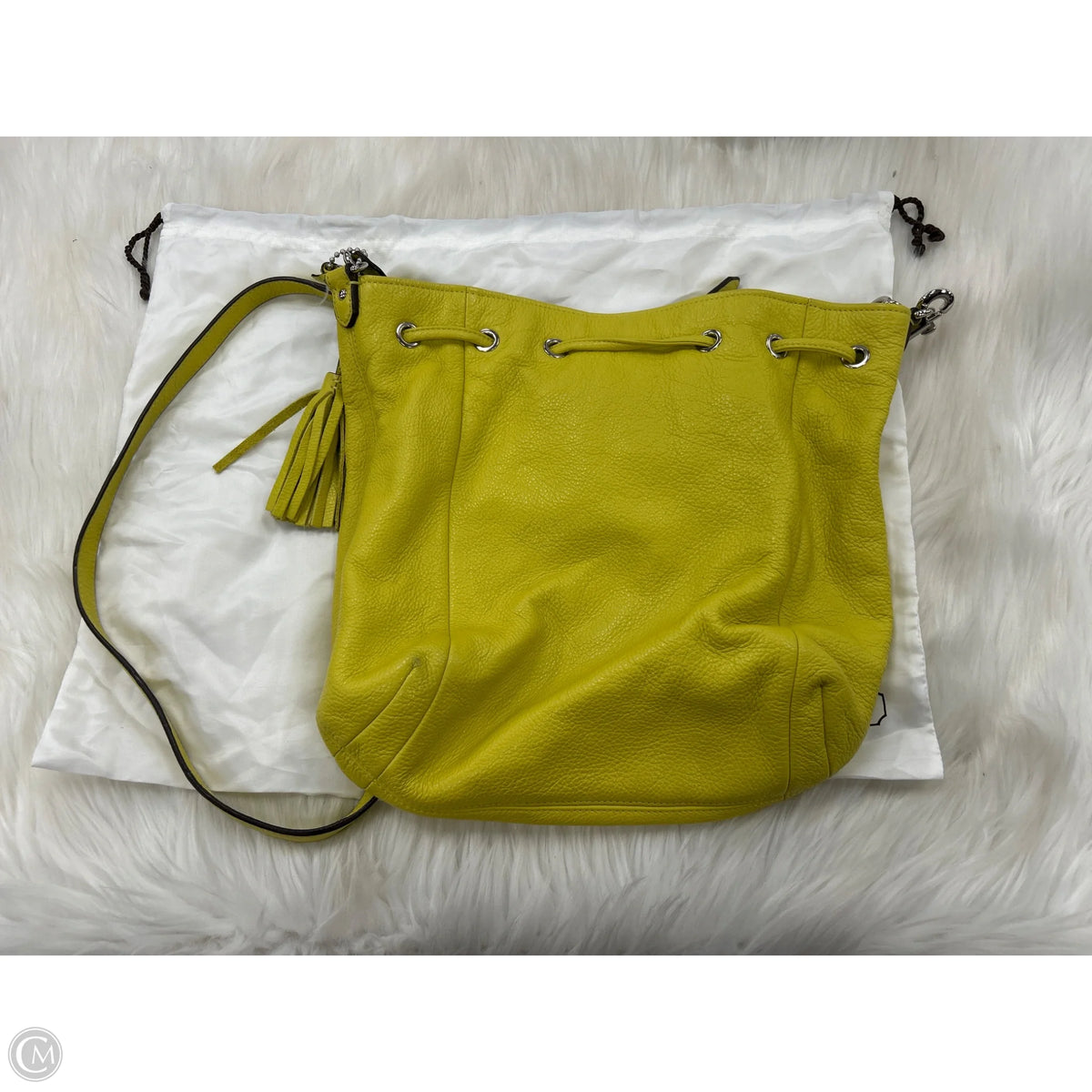 Crossbody Designer By Coach, Size: Medium