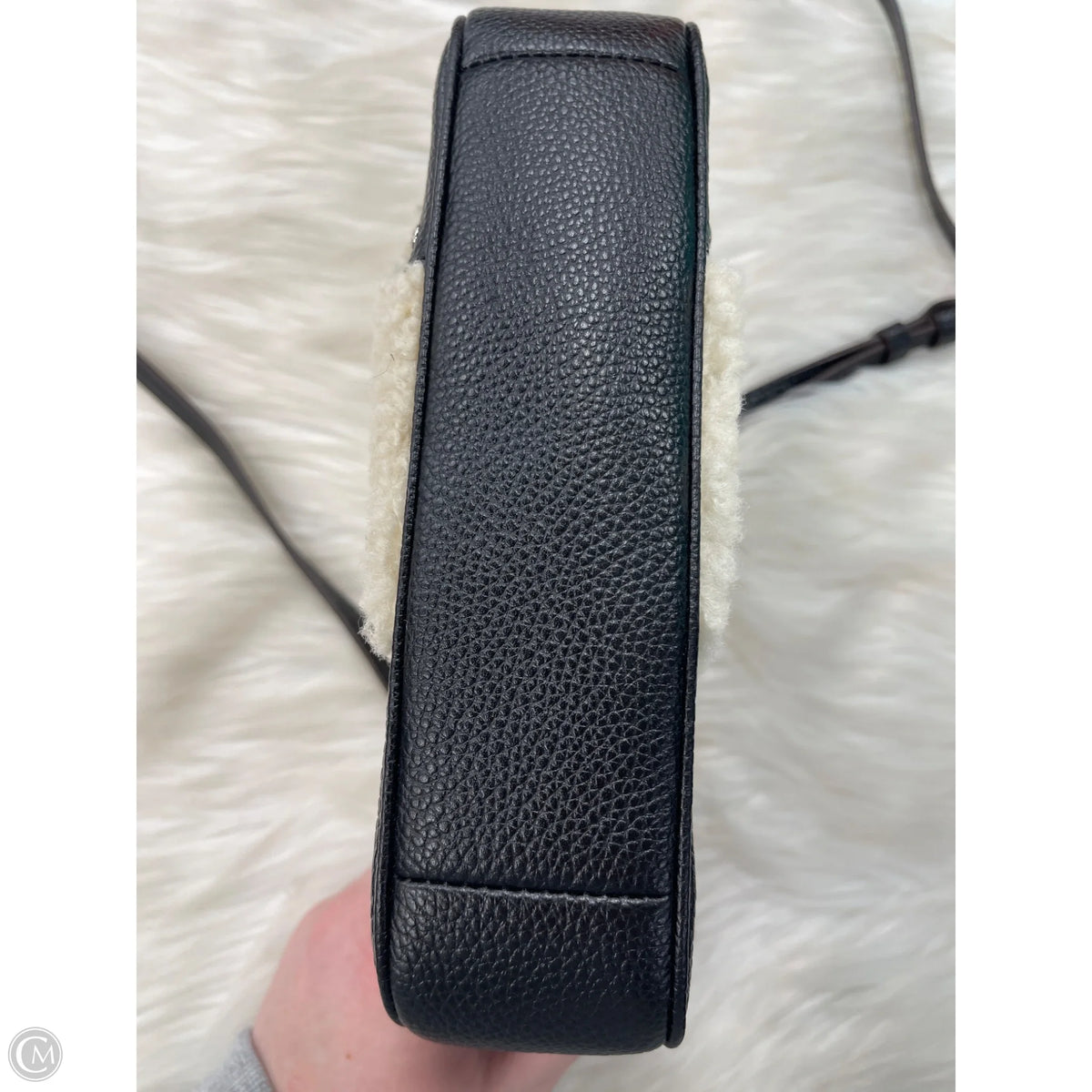 Crossbody Designer By Coach, Size: Small