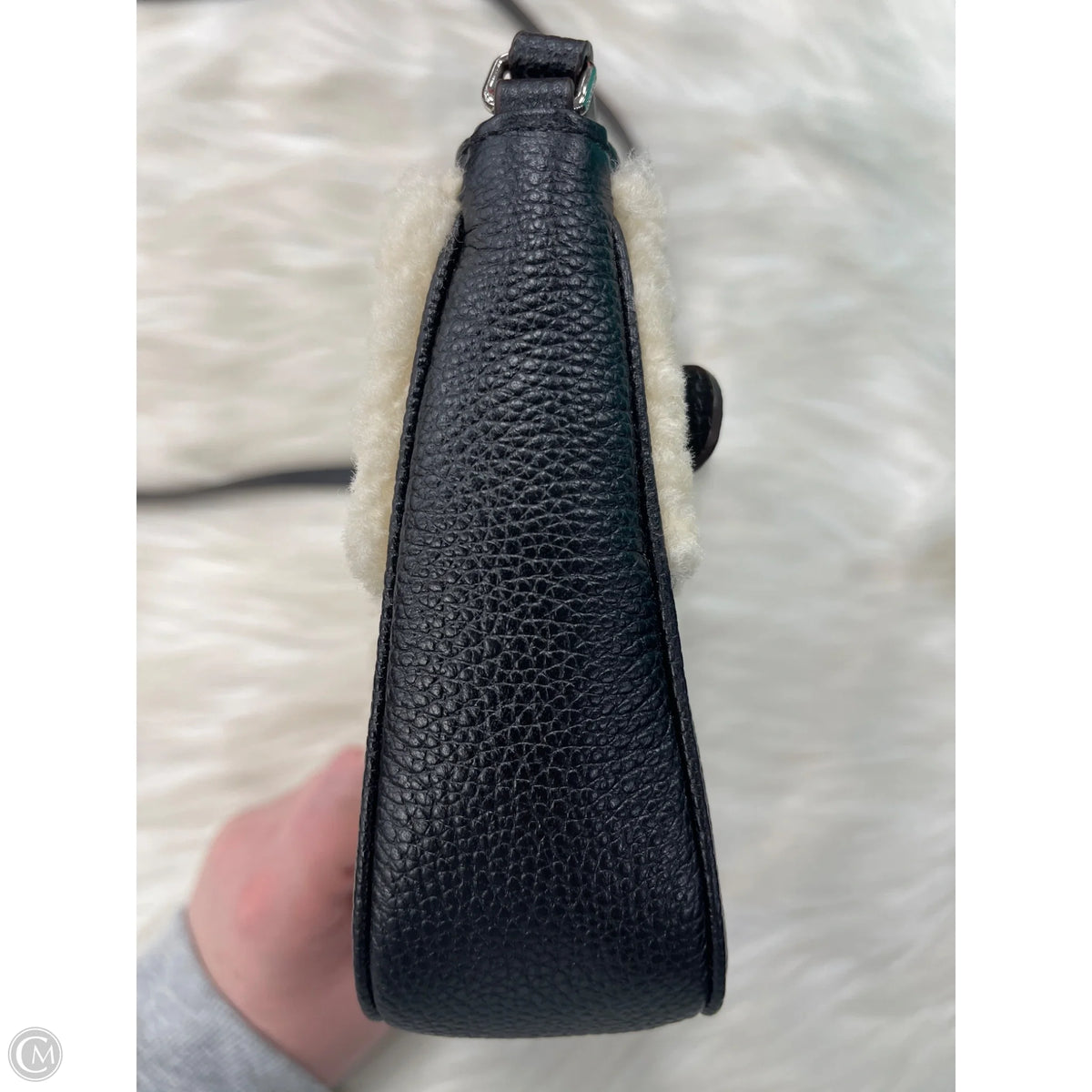 Crossbody Designer By Coach, Size: Small