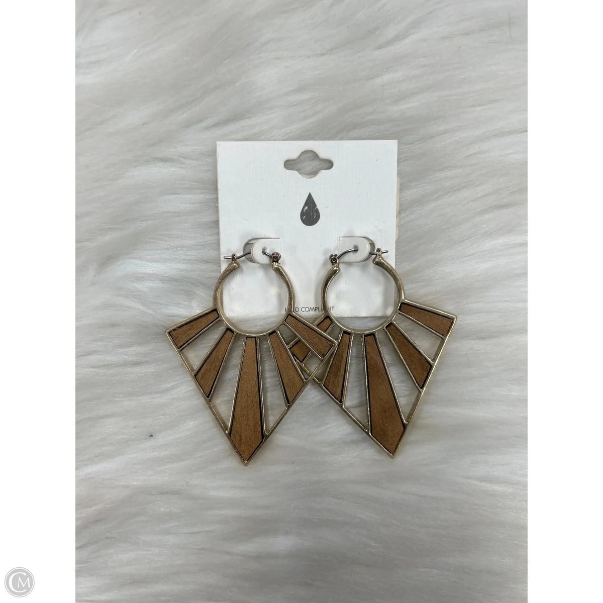 Earrings Dangle/drop By Clothes Mentor