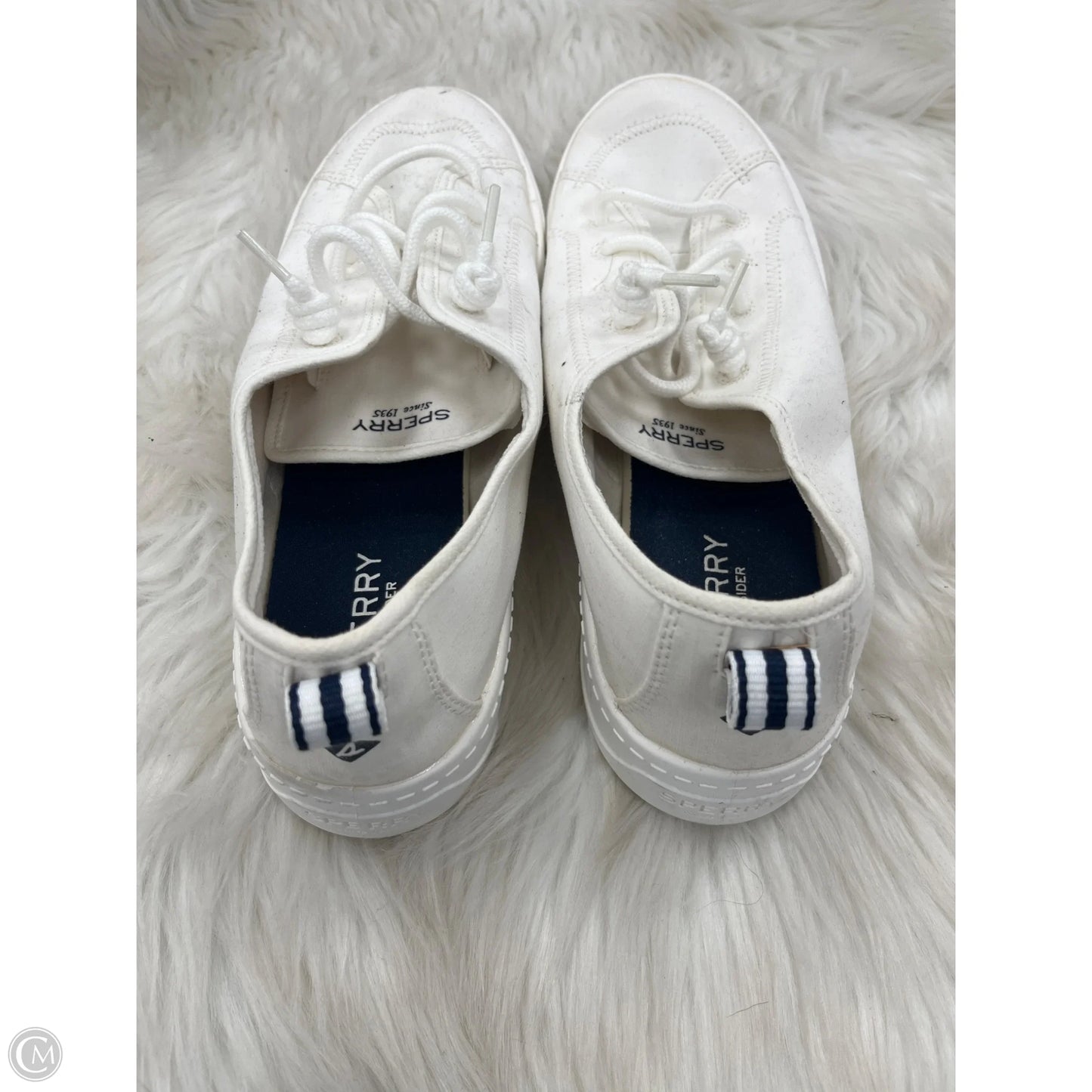 Shoes Sneakers By Sperry In White, Size: 11