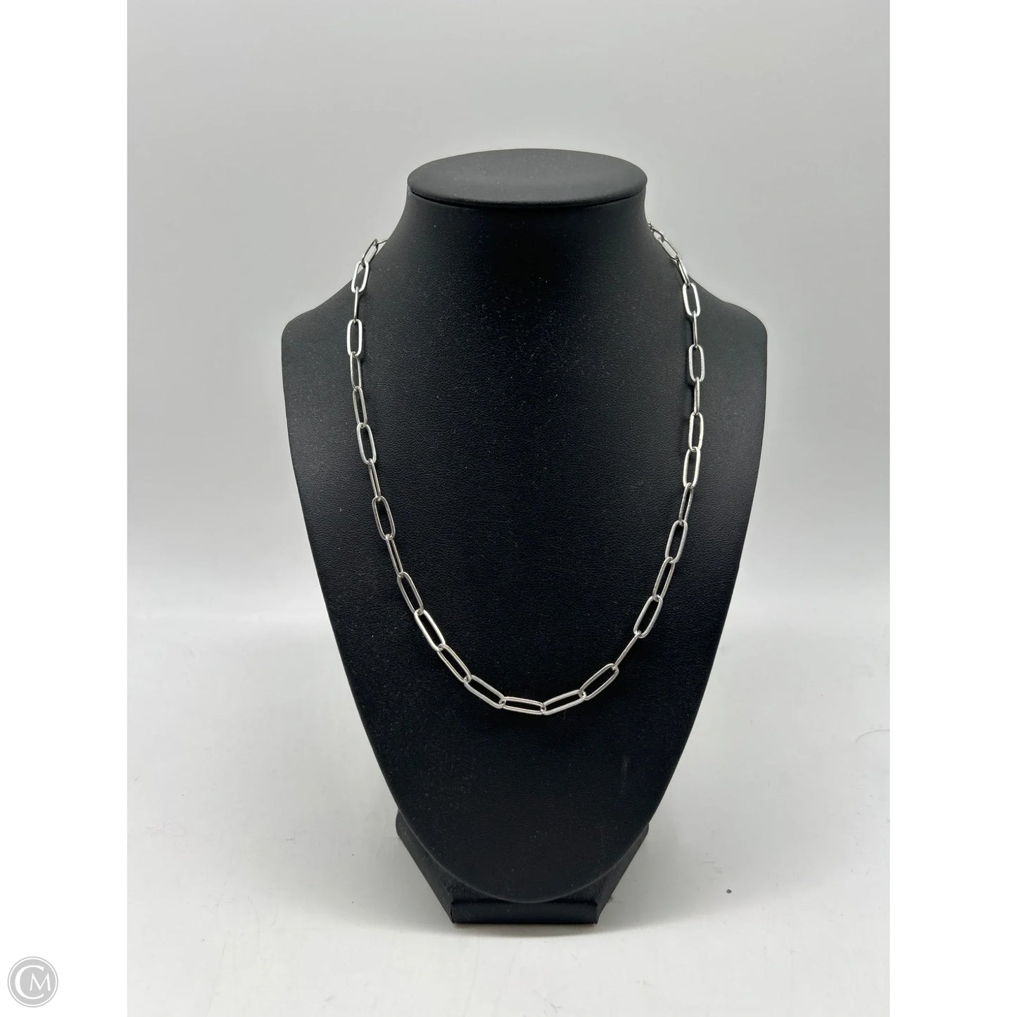 Necklace Chain By Clothes Mentor