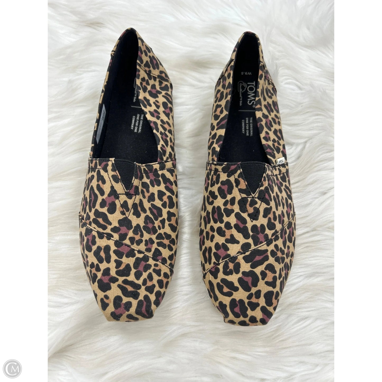 Shoes Flats By Toms In Animal Print, Size: 9.5