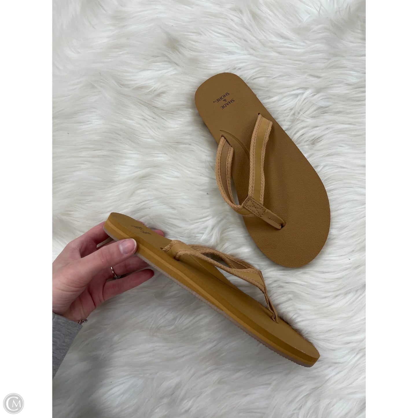 Sandals Flip Flops By Shade & Shore In Brown, Size: 7