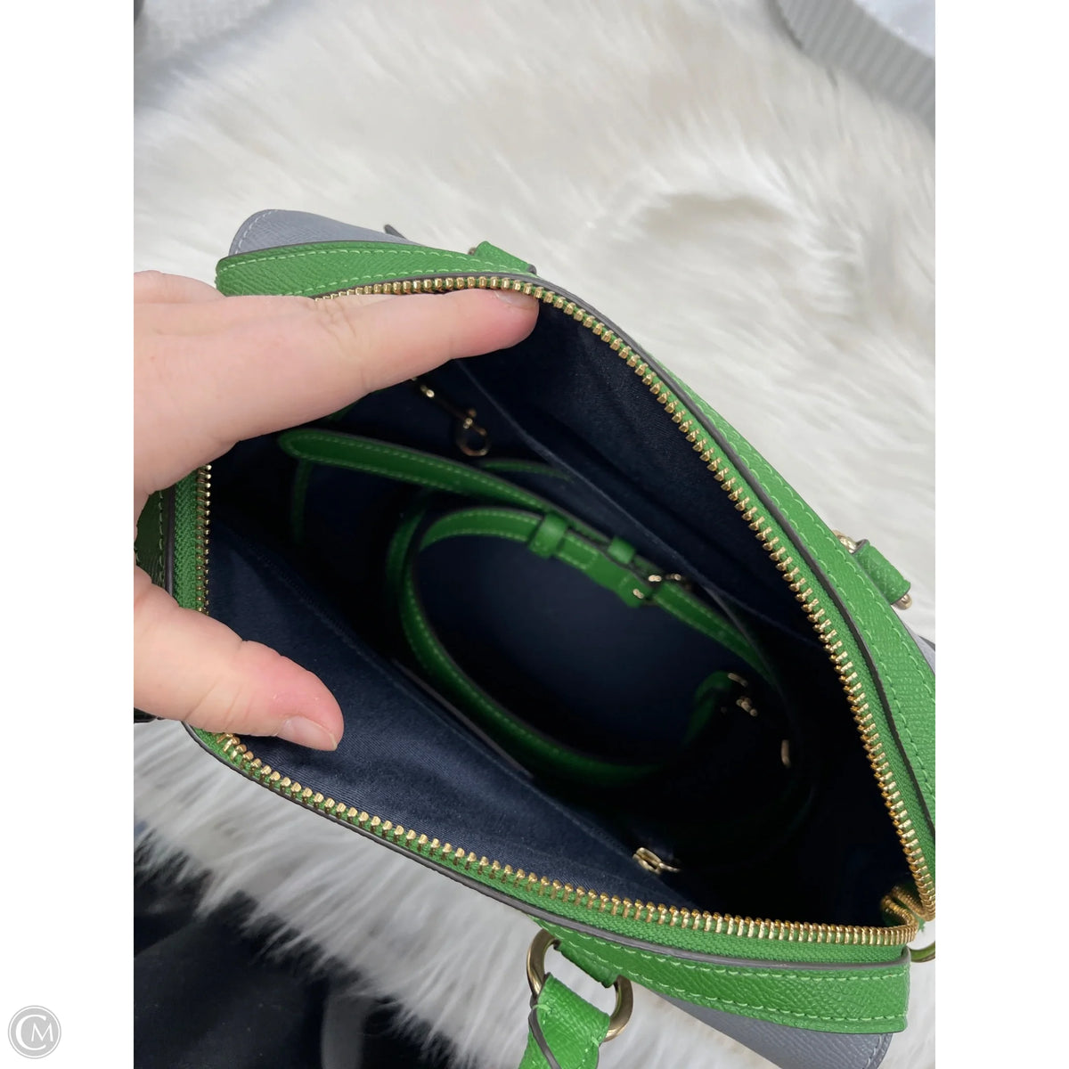 Crossbody Designer By Coach, Size: Medium