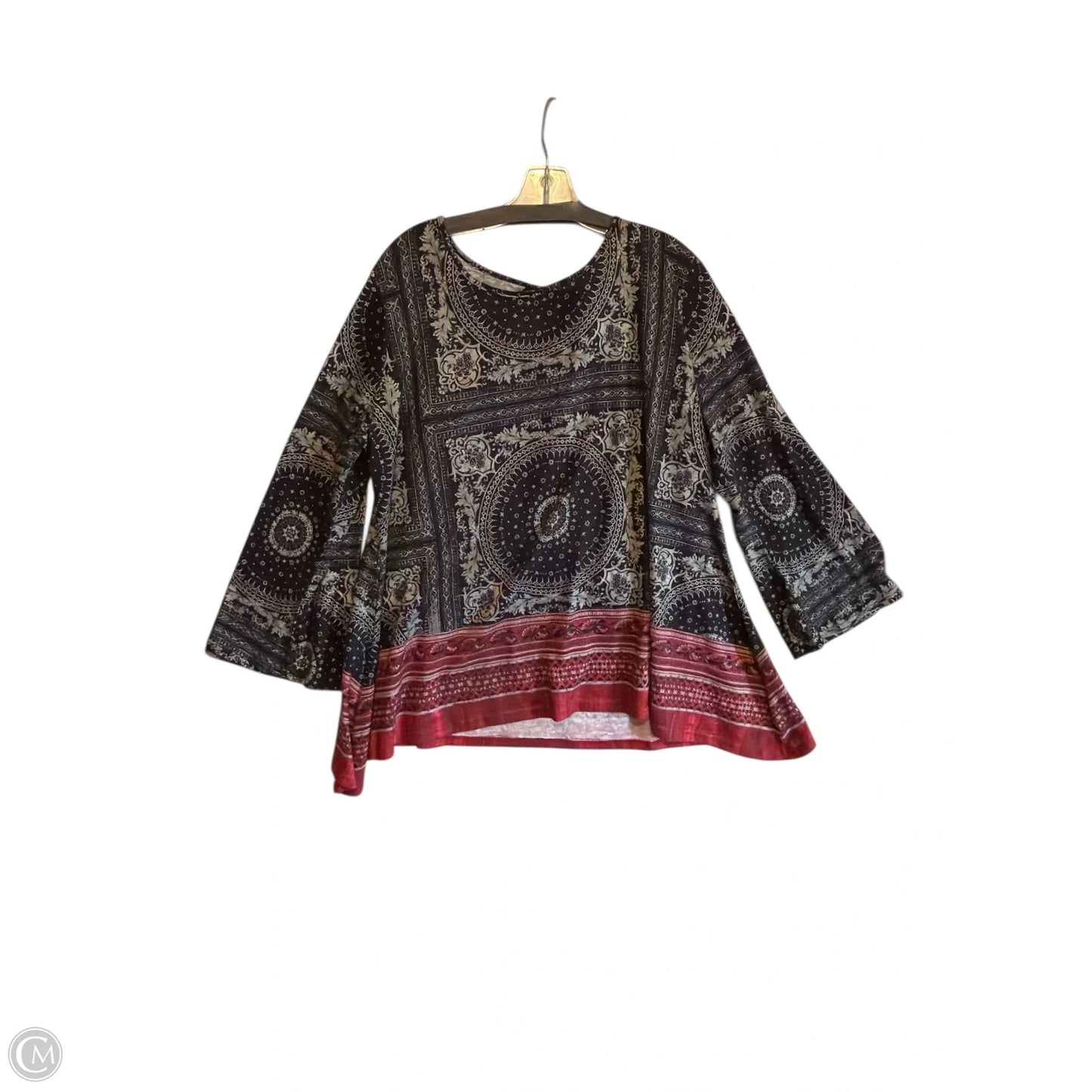 Top Long Sleeve By Suzanne Betro In Grey, Size: 3x