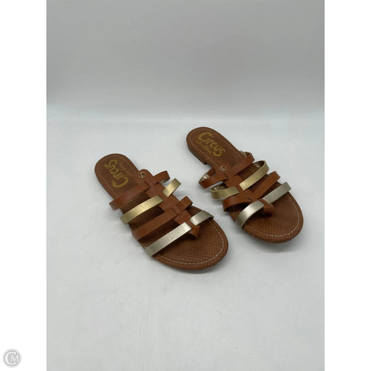 Sandals Flats By Circus By Sam Edelman In Gold, Size: 9