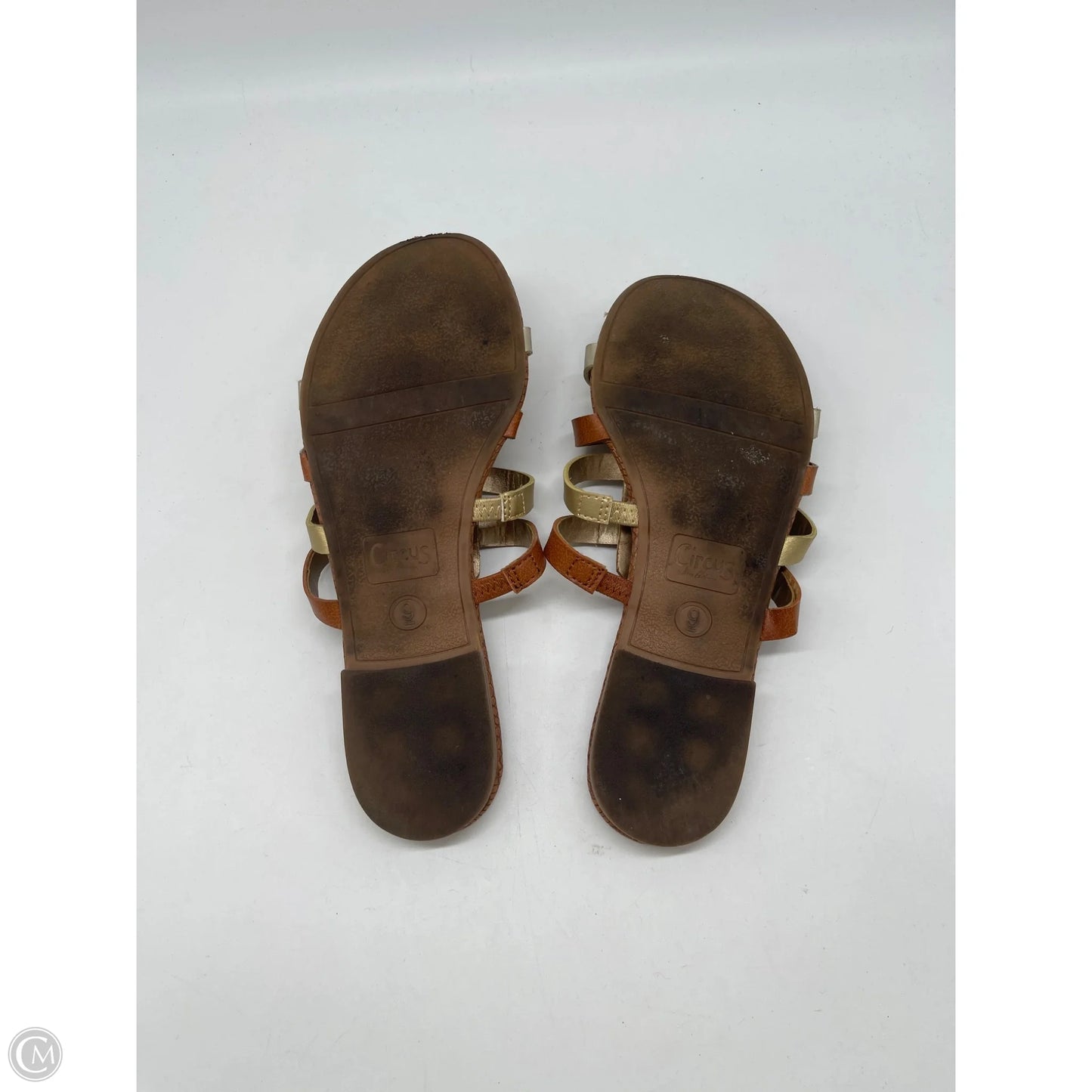 Sandals Flats By Circus By Sam Edelman In Gold, Size: 9