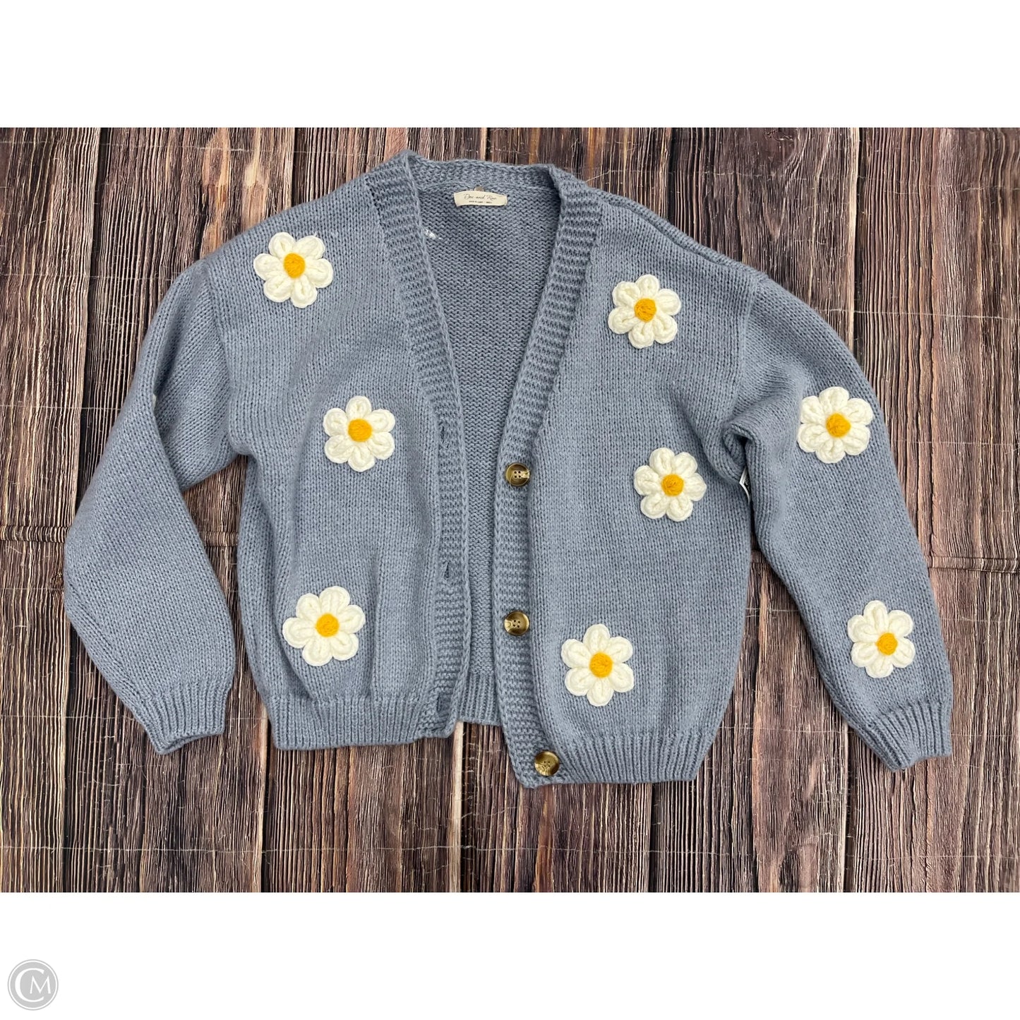 Sweater Cardigan By Doe & Rae In Blue, Size: S