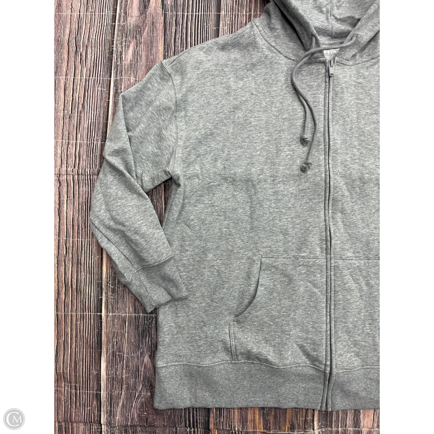 Sweatshirt Hoodie By Terra & Sky In Grey, Size: 1x