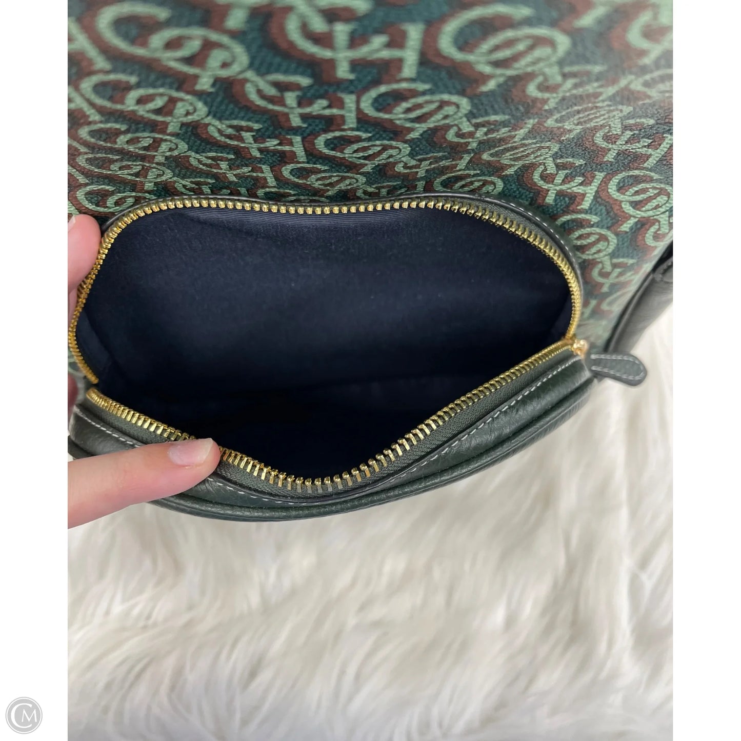 Backpack Designer By Coach, Size: Large