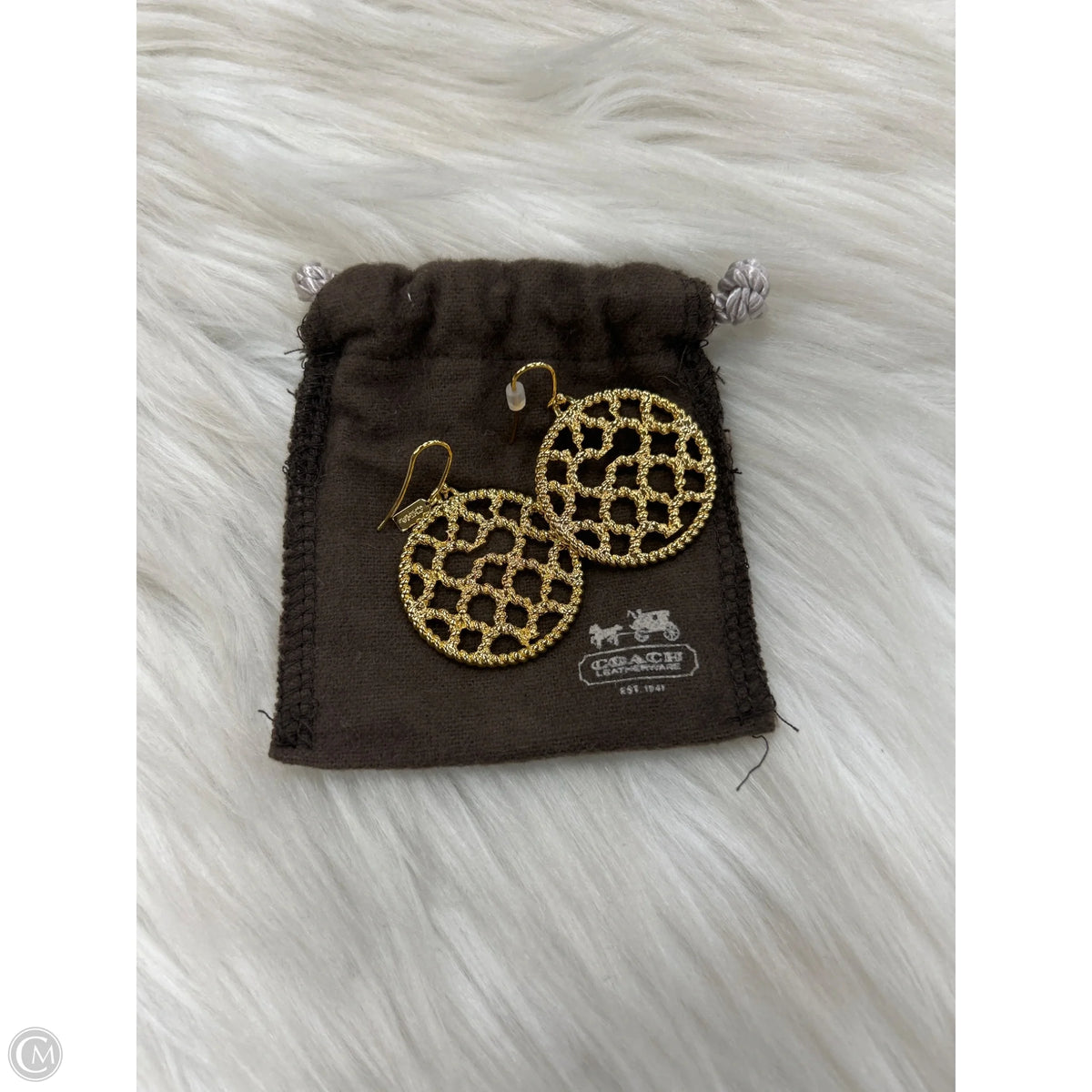 Earrings Designer By Coach
