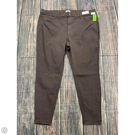 Pants Joggers By Maurices In Brown, Size: 24