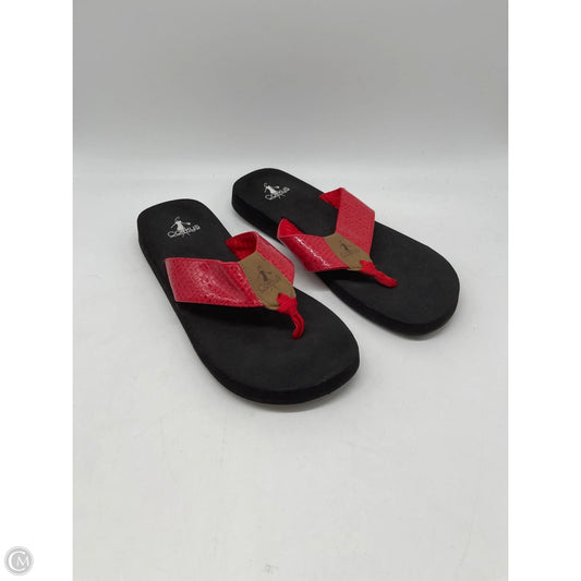 Sandals Flip Flops By Corkys In Red, Size: 9