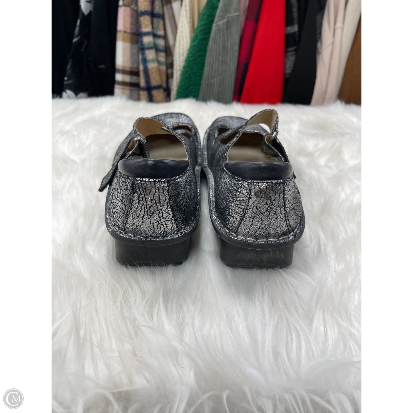 Shoes Flats By Alegria In Silver, Size: 10.5