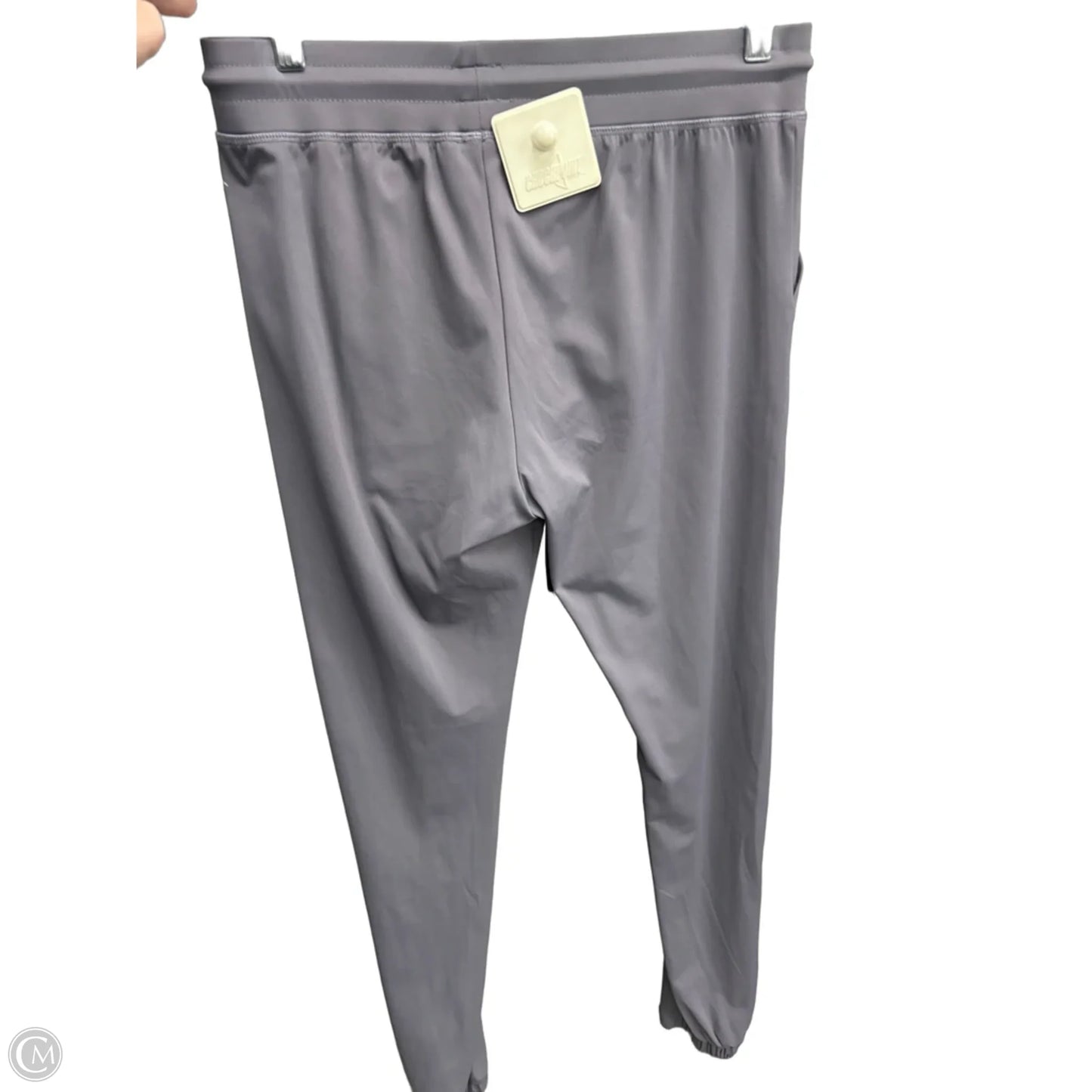 Athletic Pants By Zyia In Grey, Size: S