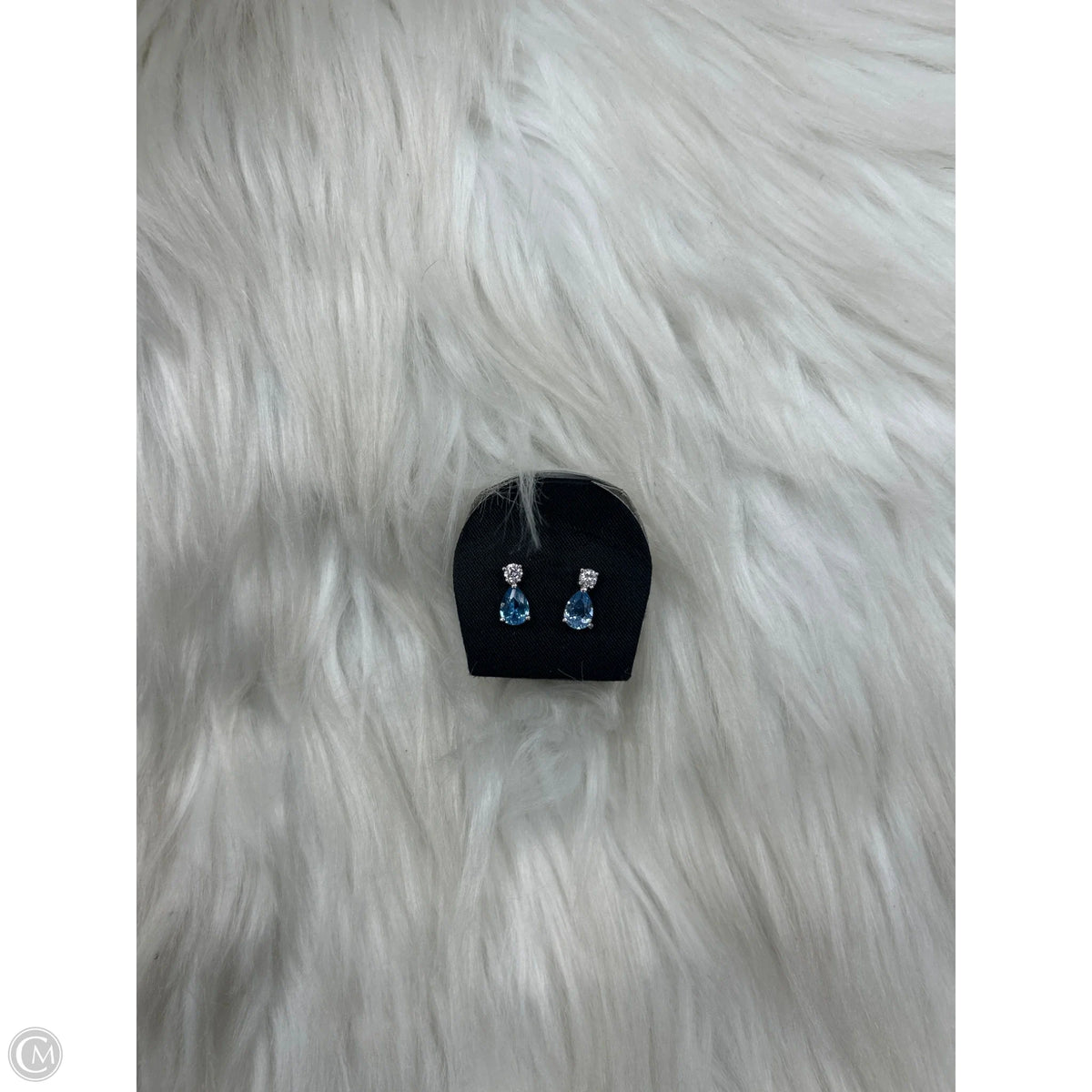 Earrings Dangle/drop By Clothes Mentor